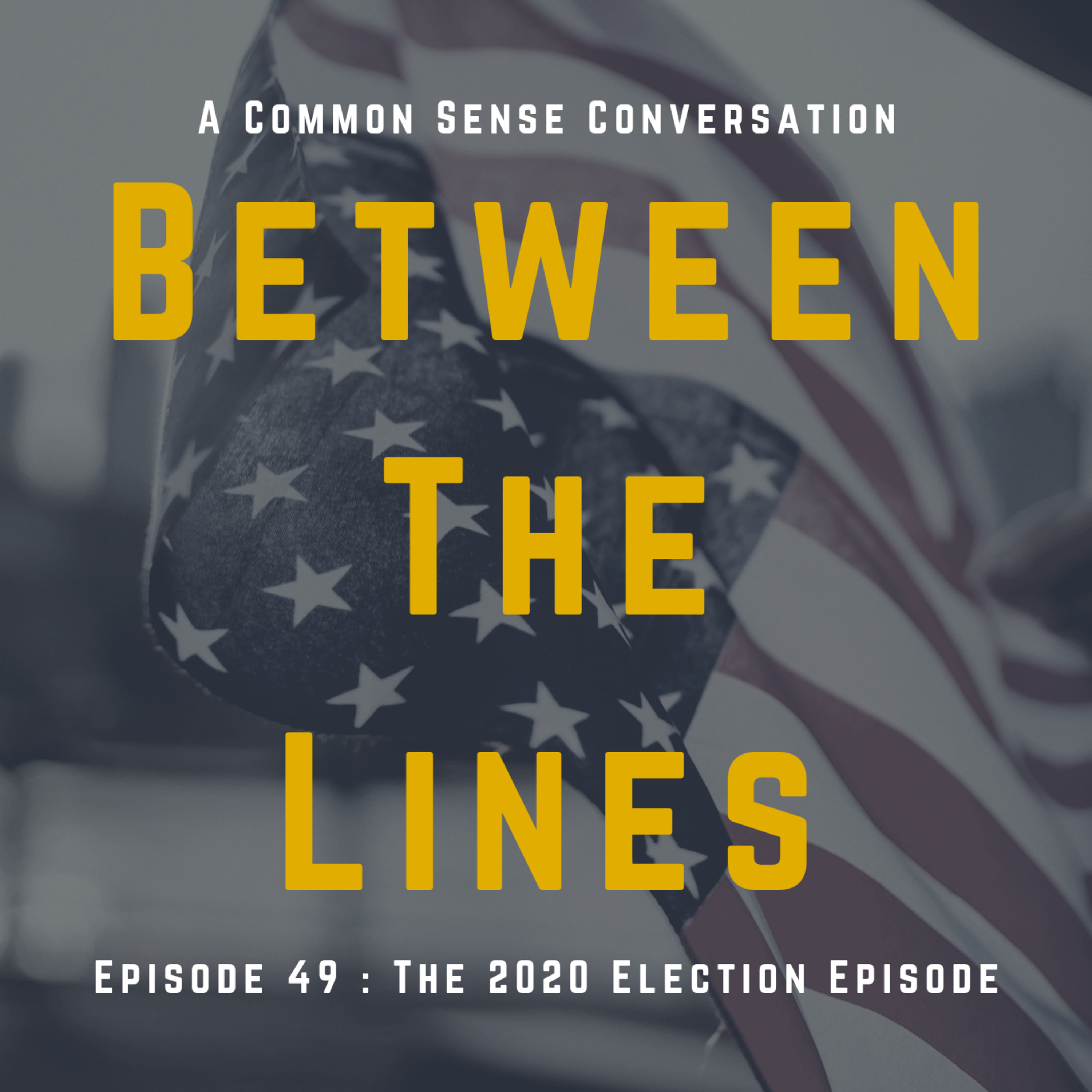 The 2020 Election Episode episode artwork