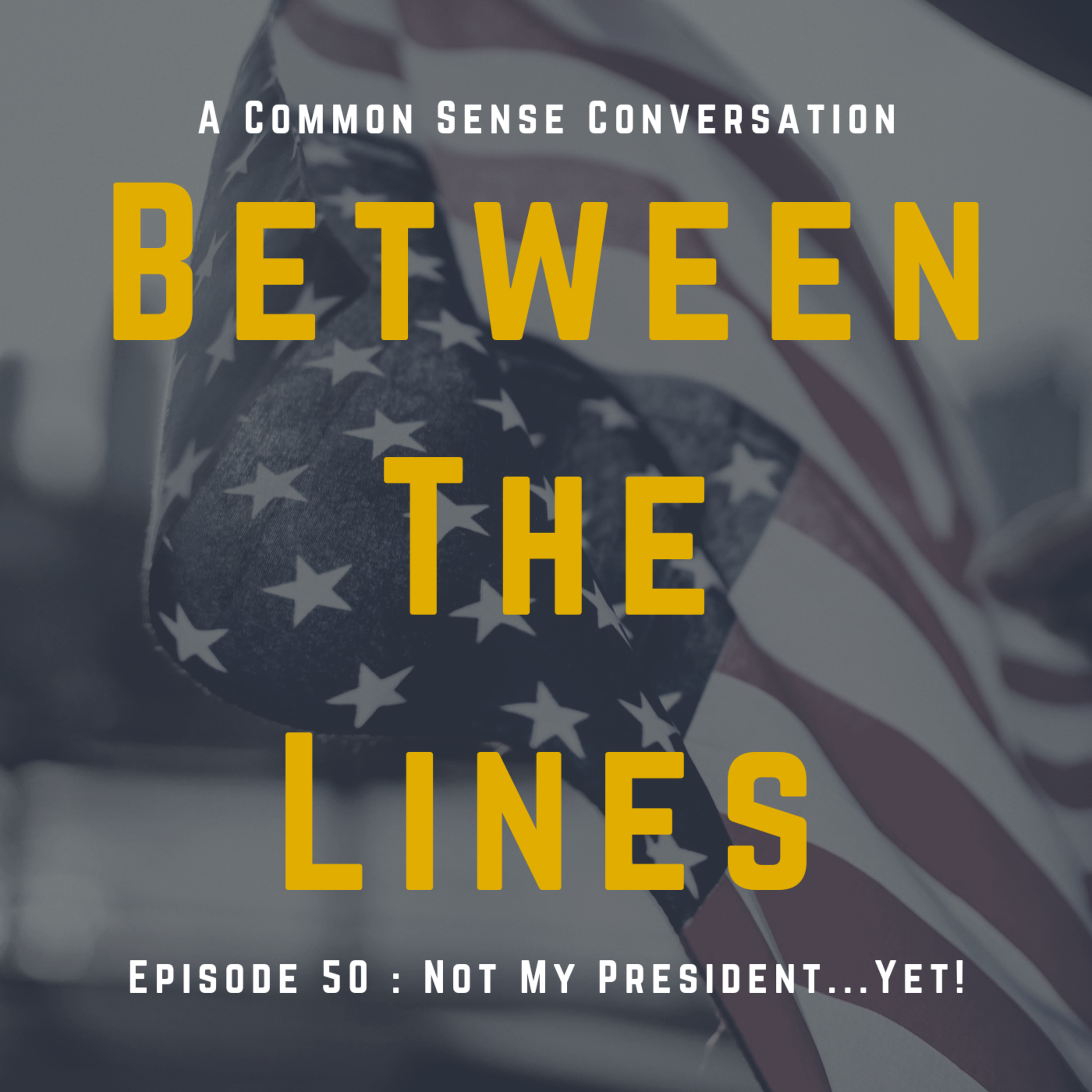 Not My President...Yet! episode artwork