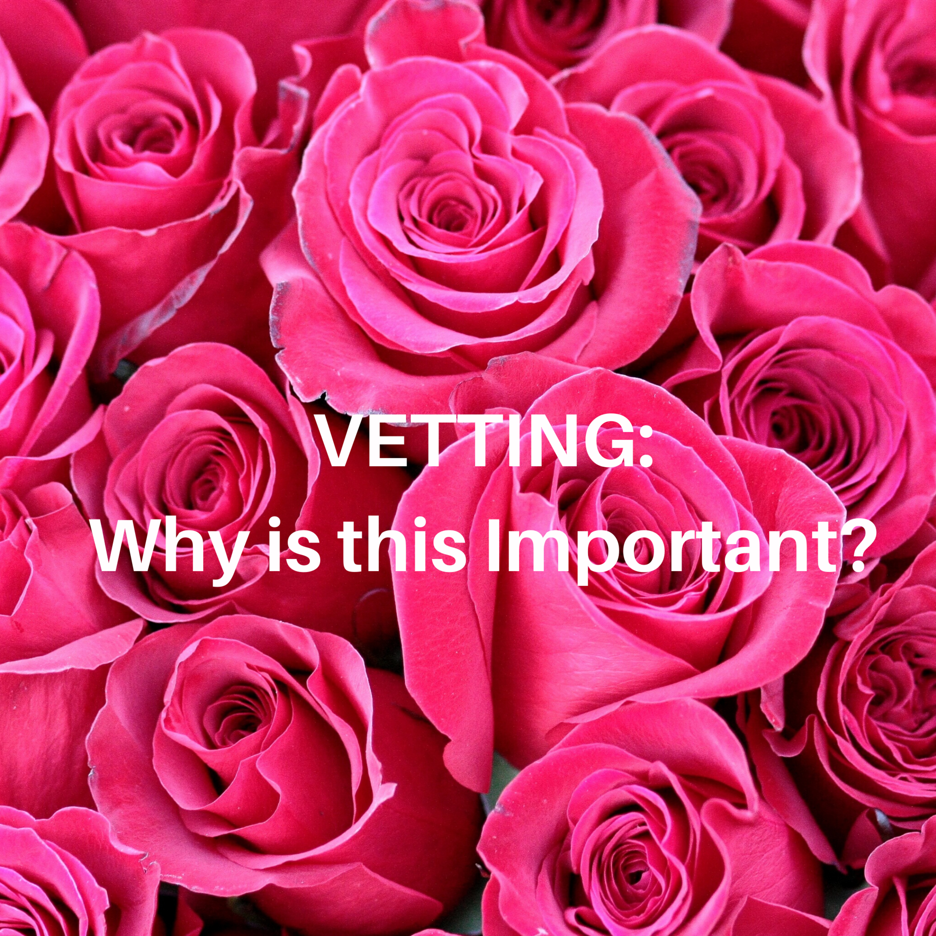 Vetting: Why is this Important? episode artwork