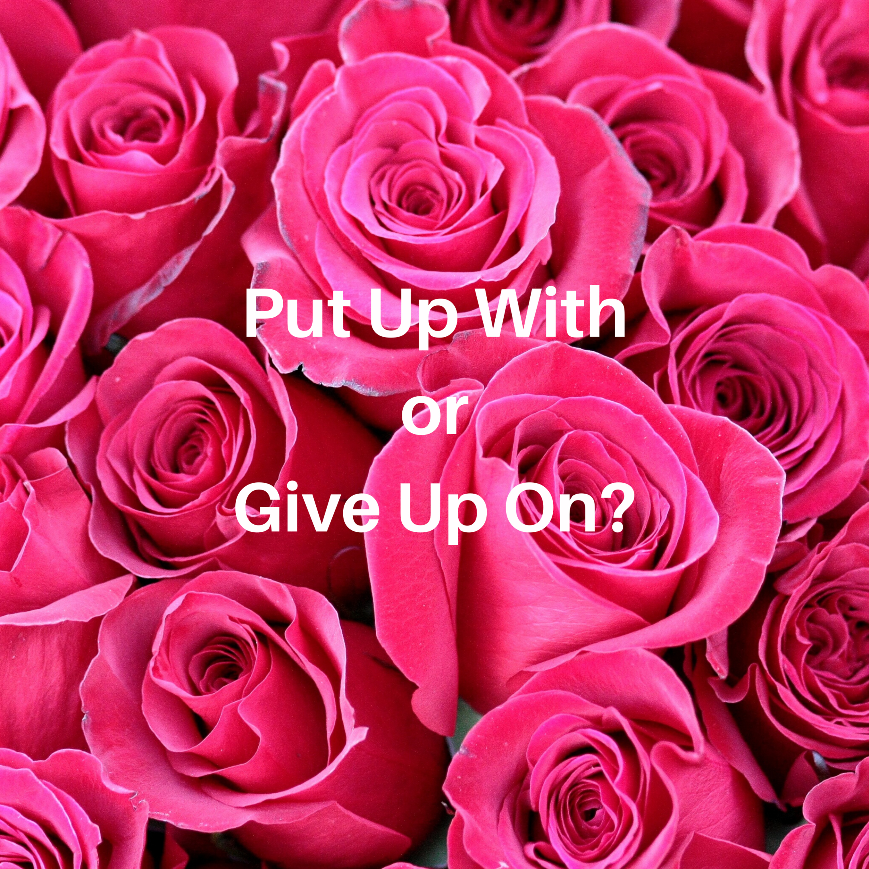 Put Up With or Give Up On? episode artwork