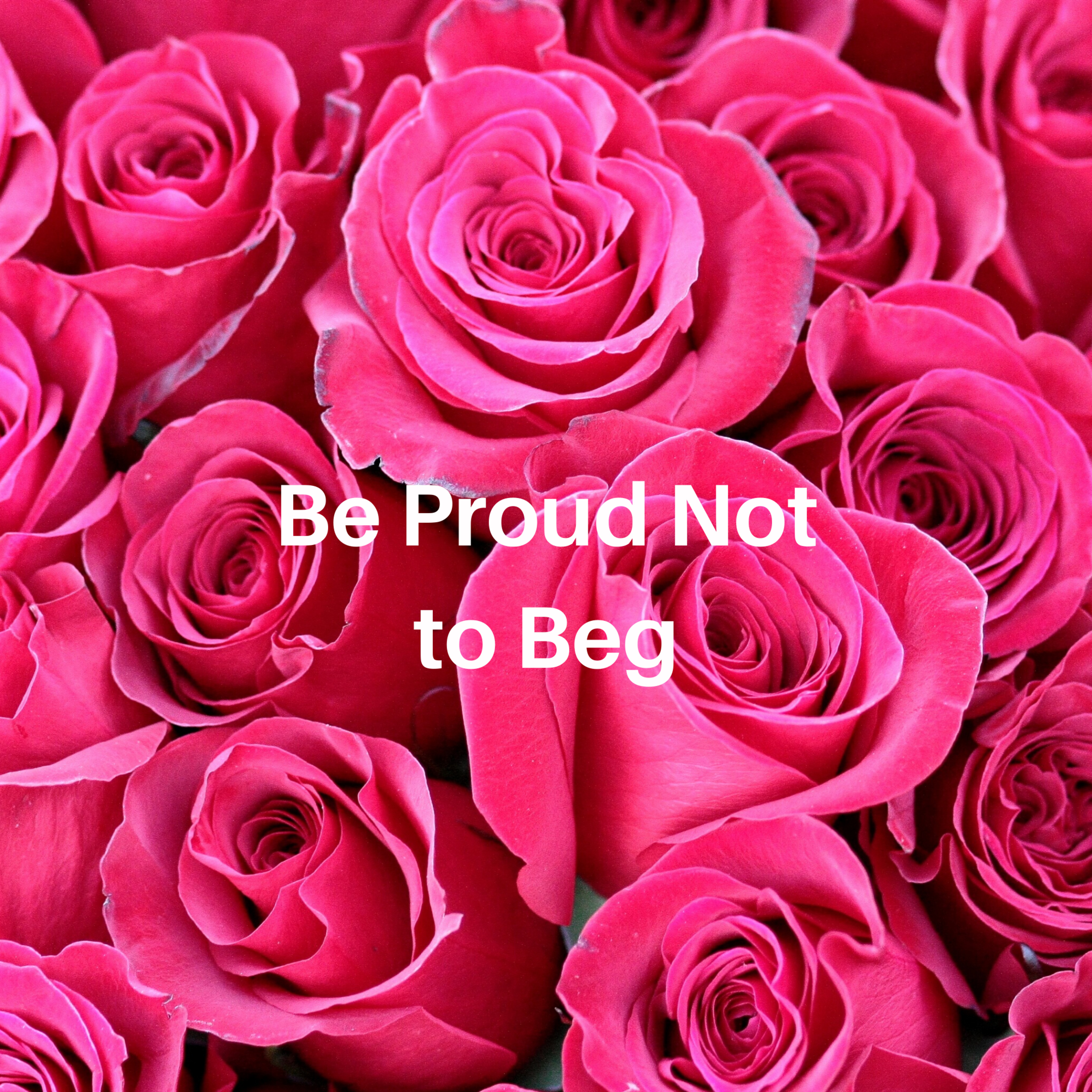 Be Proud Not to Beg episode artwork
