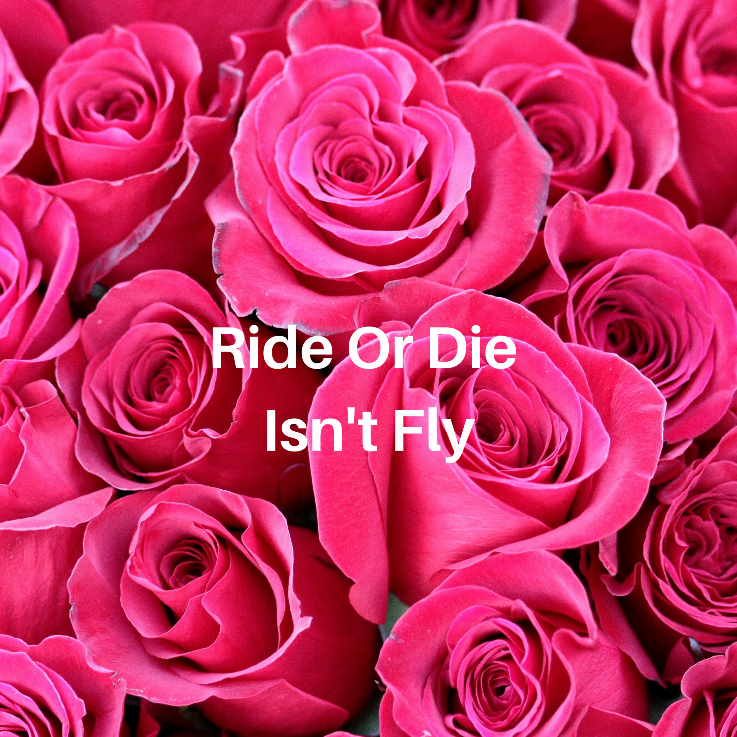 Ride or Die Isn't Fly episode artwork