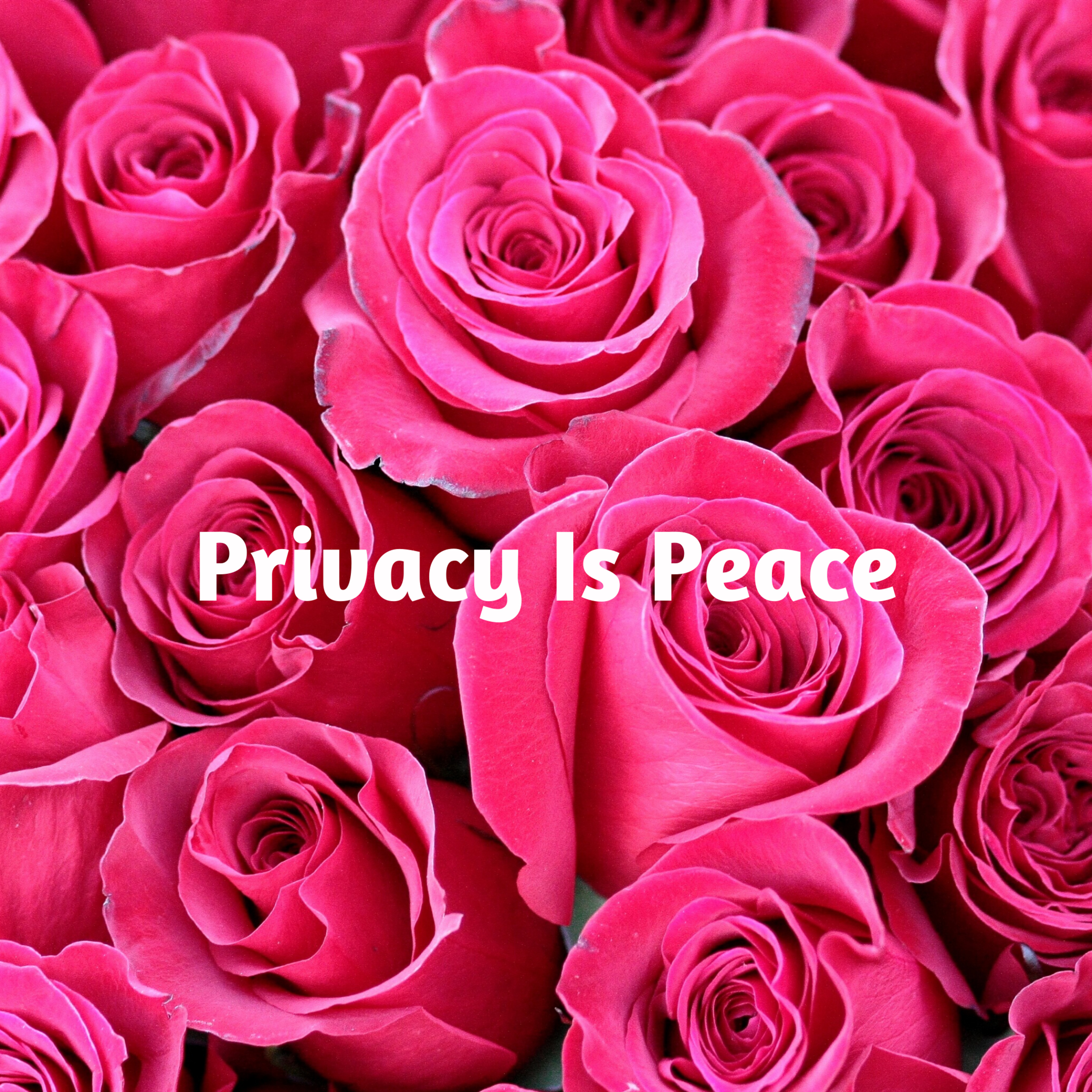 Privacy Is Peace episode artwork