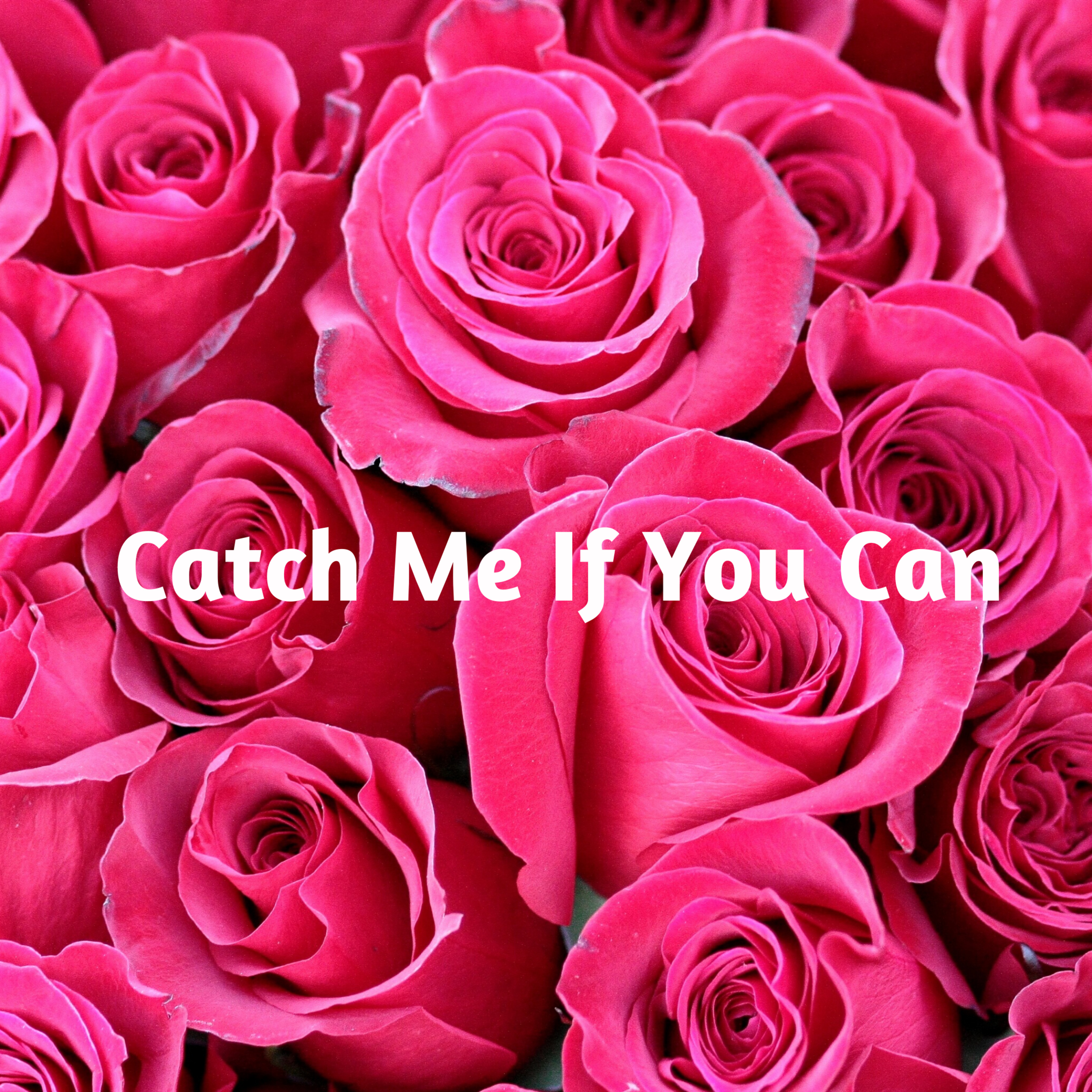 Catch Me If You Can episode artwork