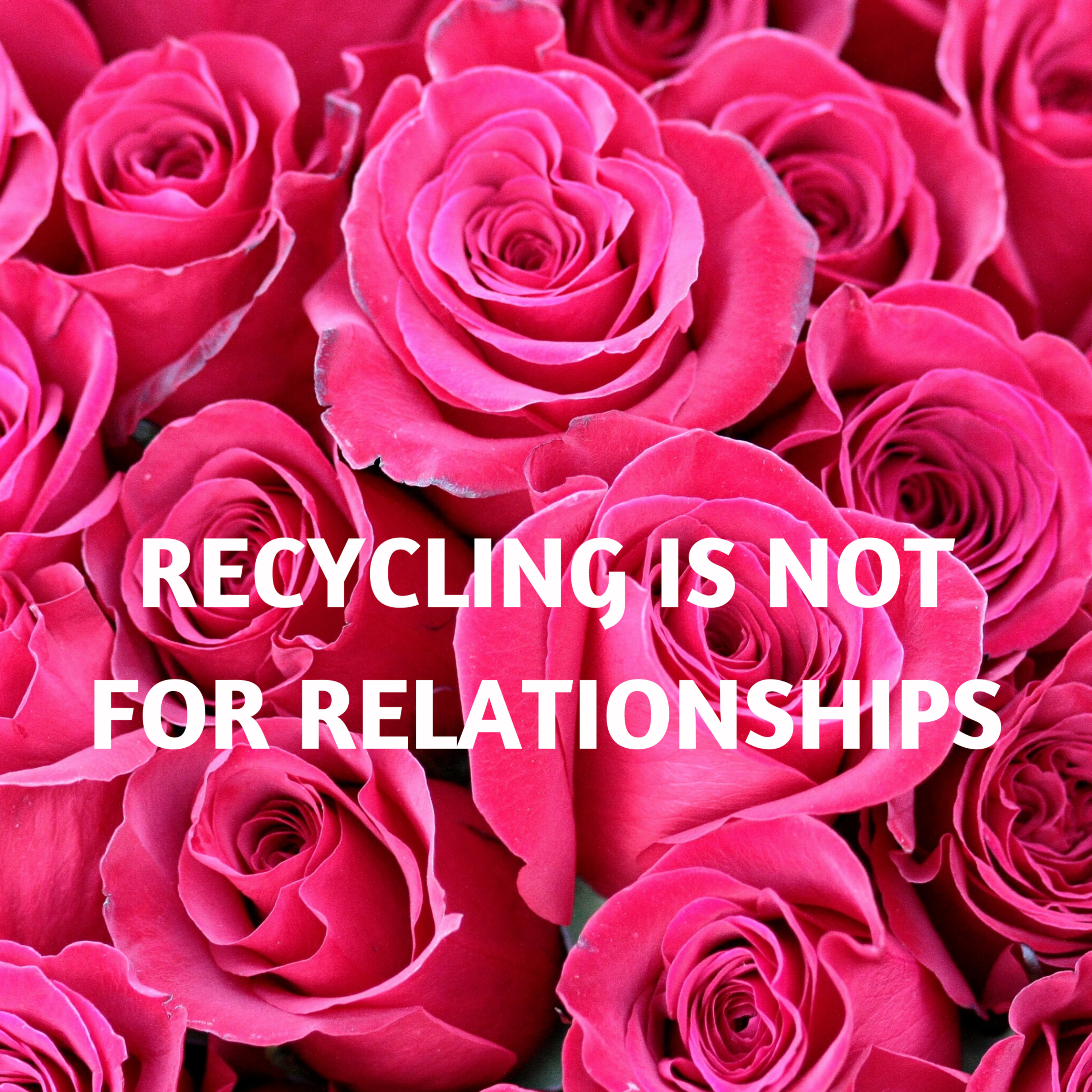 Recycling Is Not For Relationships episode artwork
