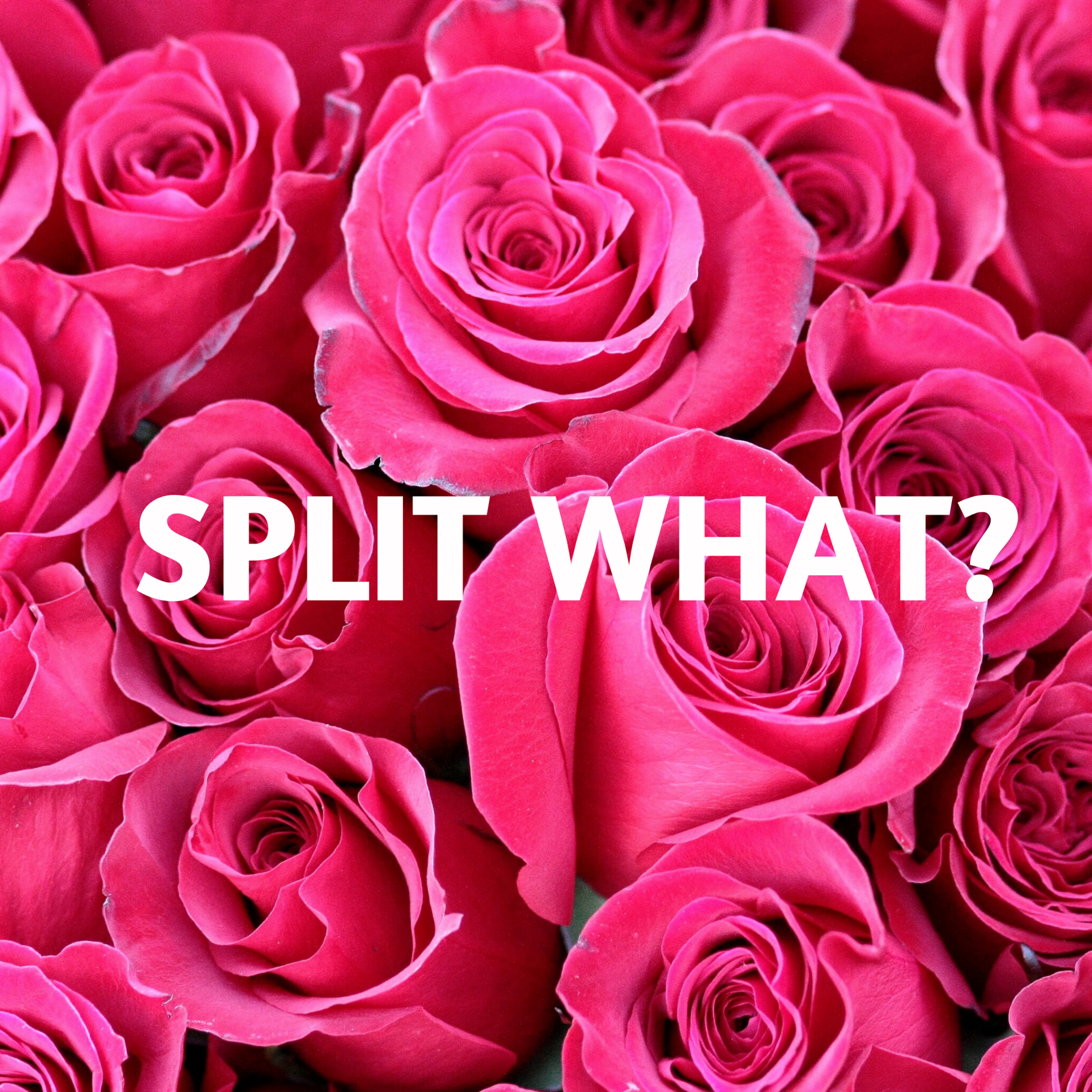 SPLIT WHAT? episode artwork