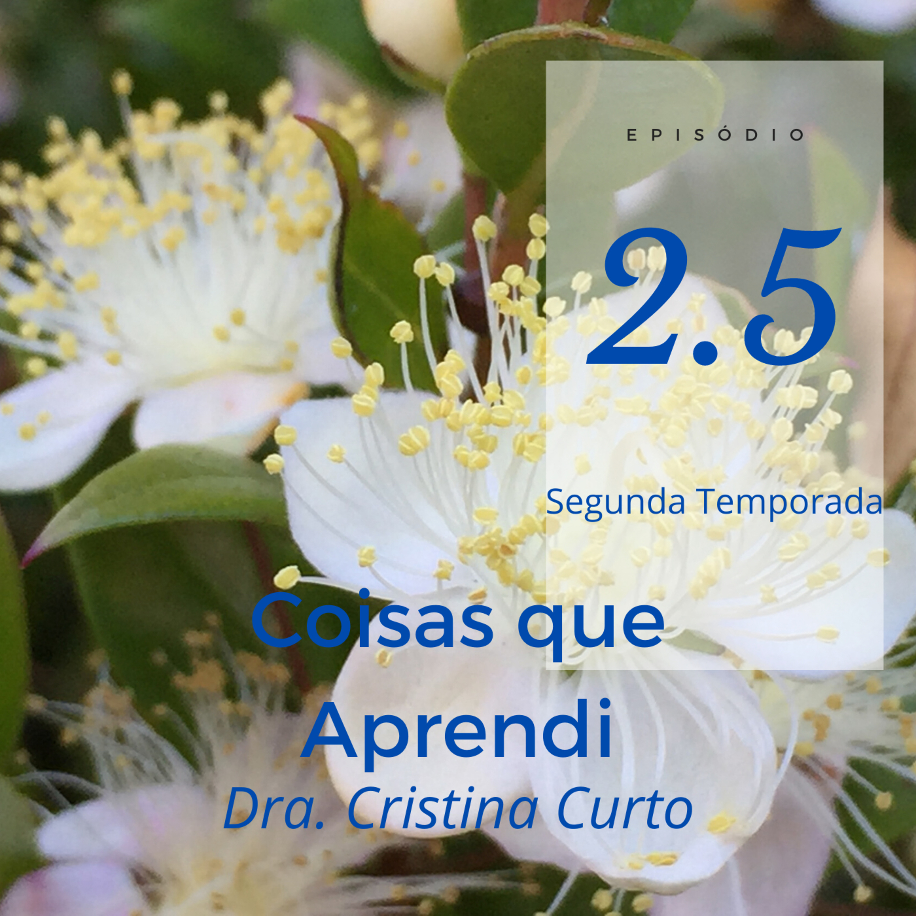 Coisas Que Aprendi - Dra Cristina Curto