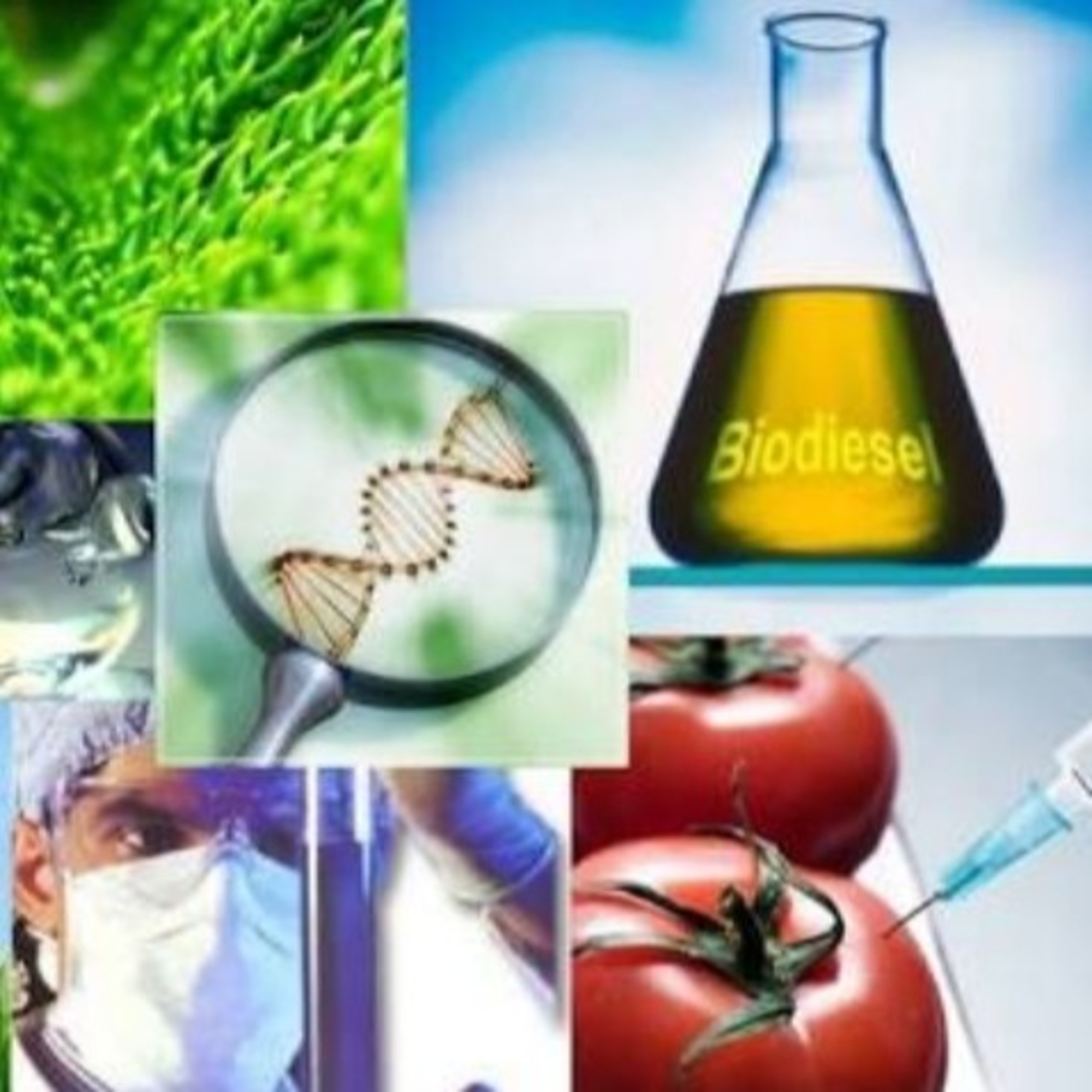 Biotecnologia  episode artwork