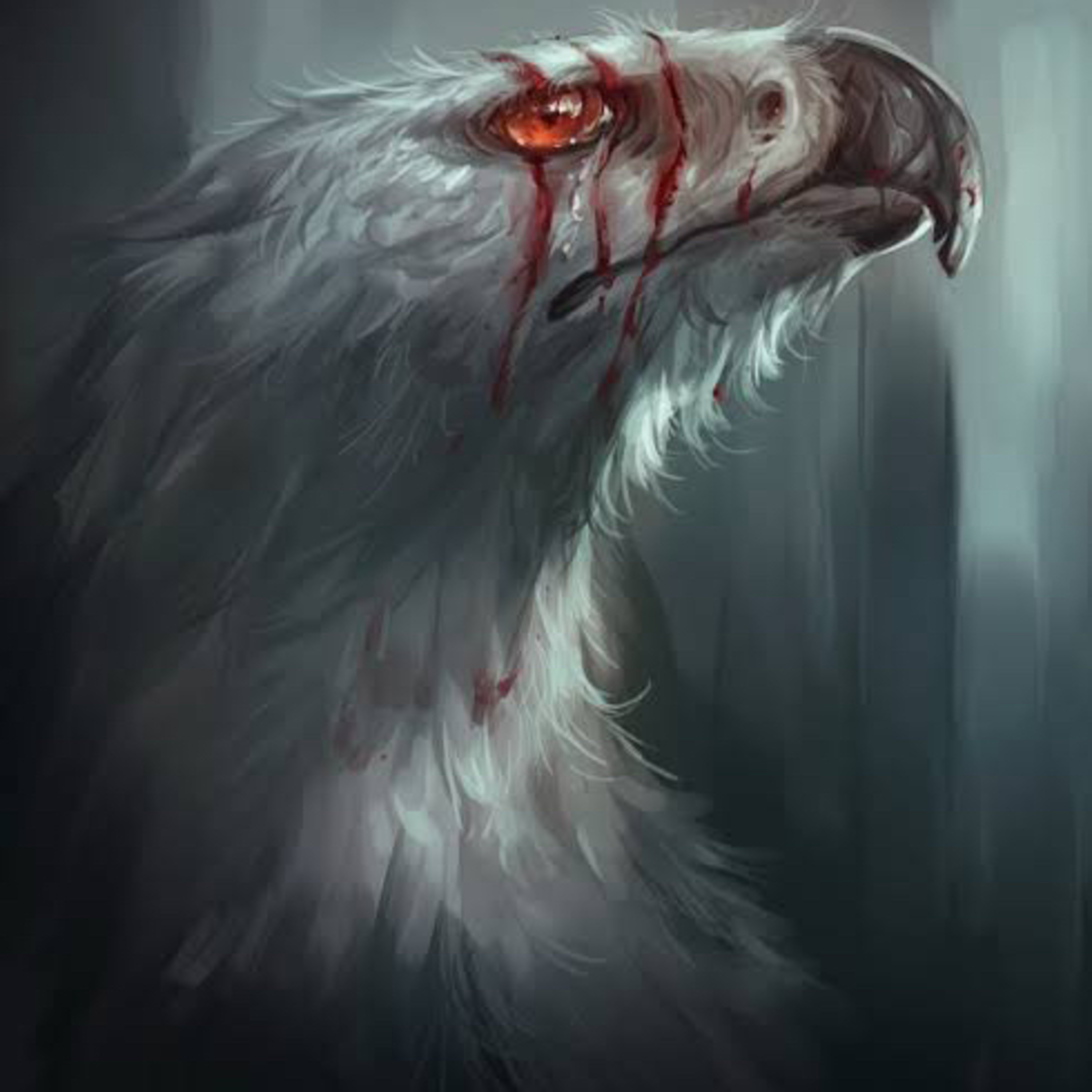 Devid Venara - Il podcast -