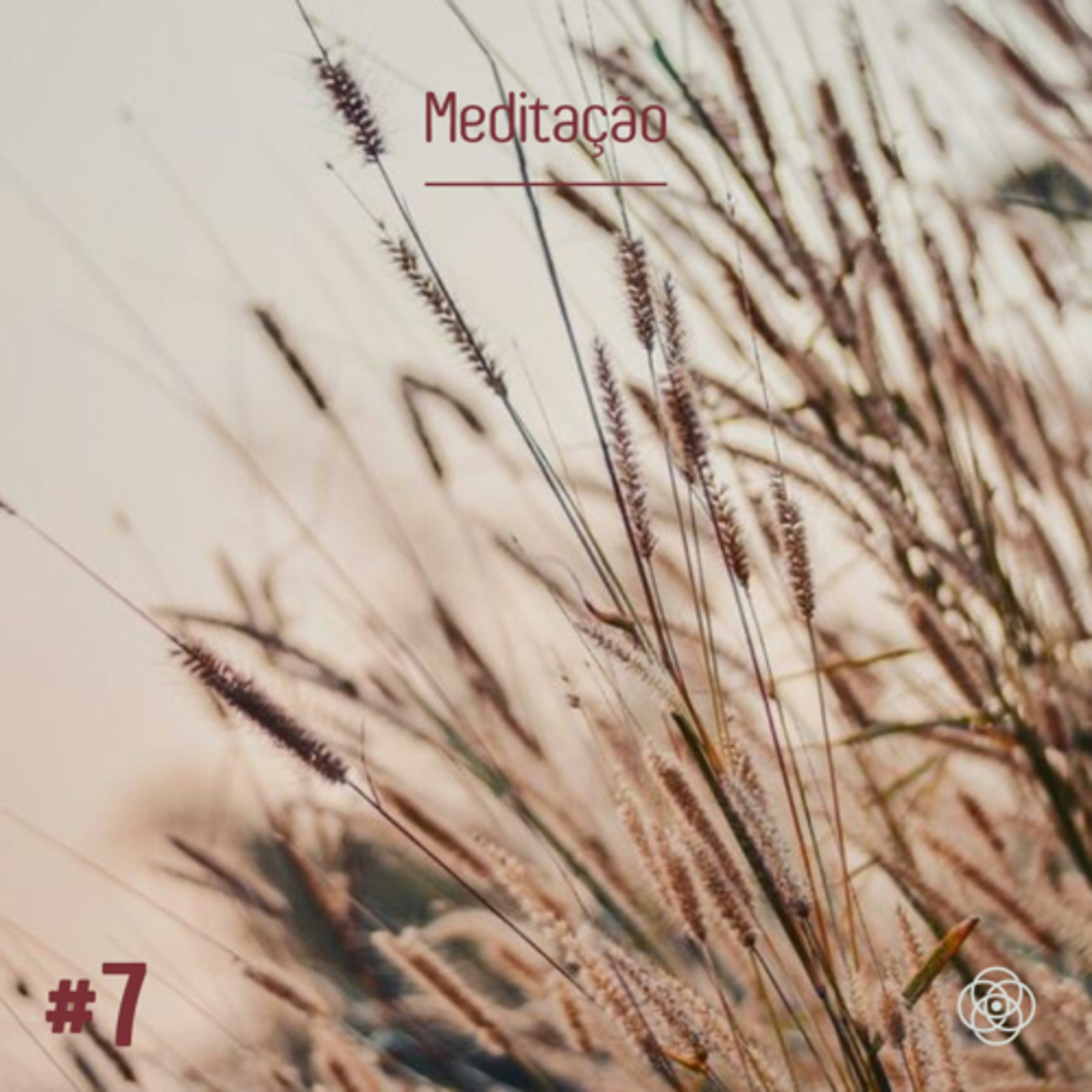 Partilha meditativa