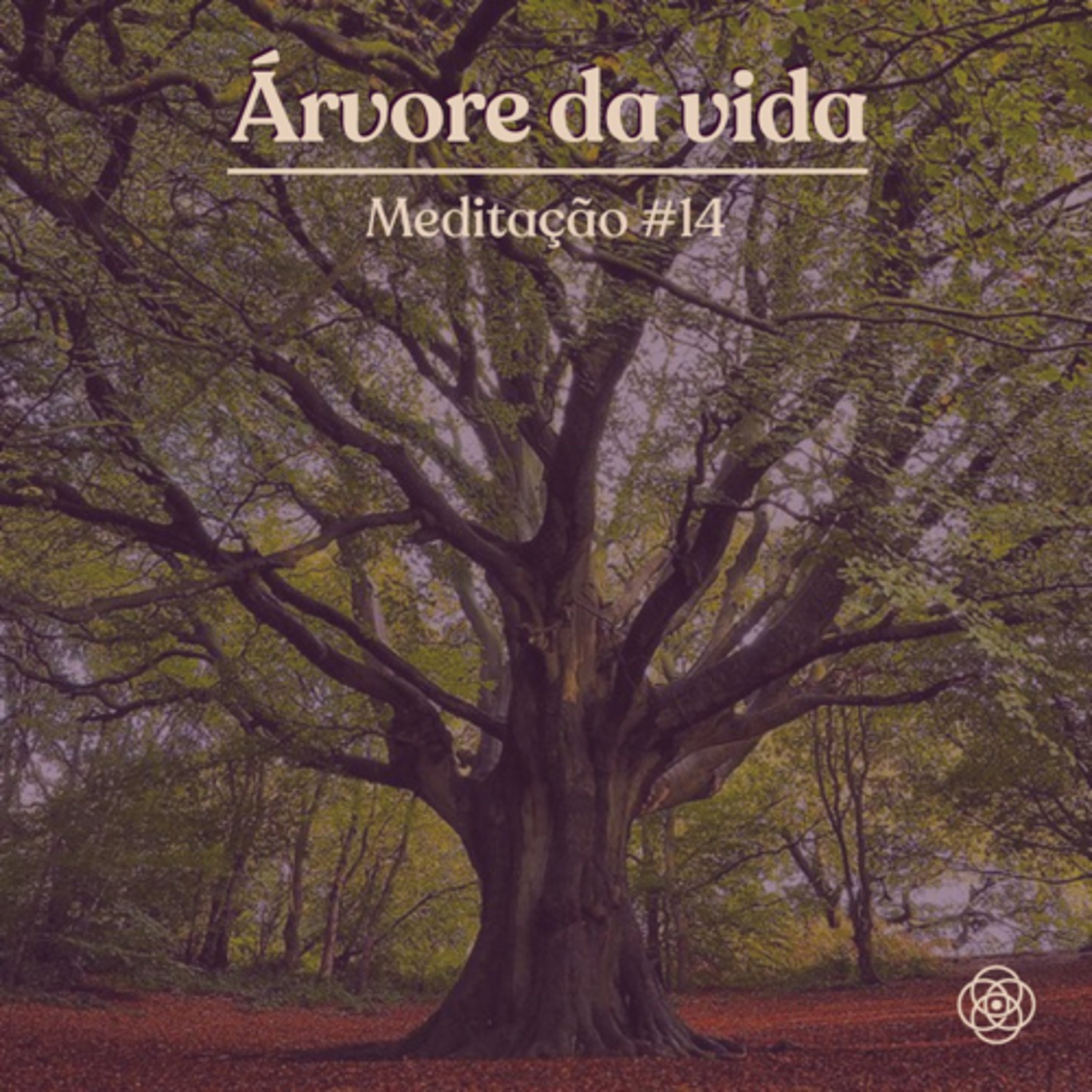 Partilha meditativa