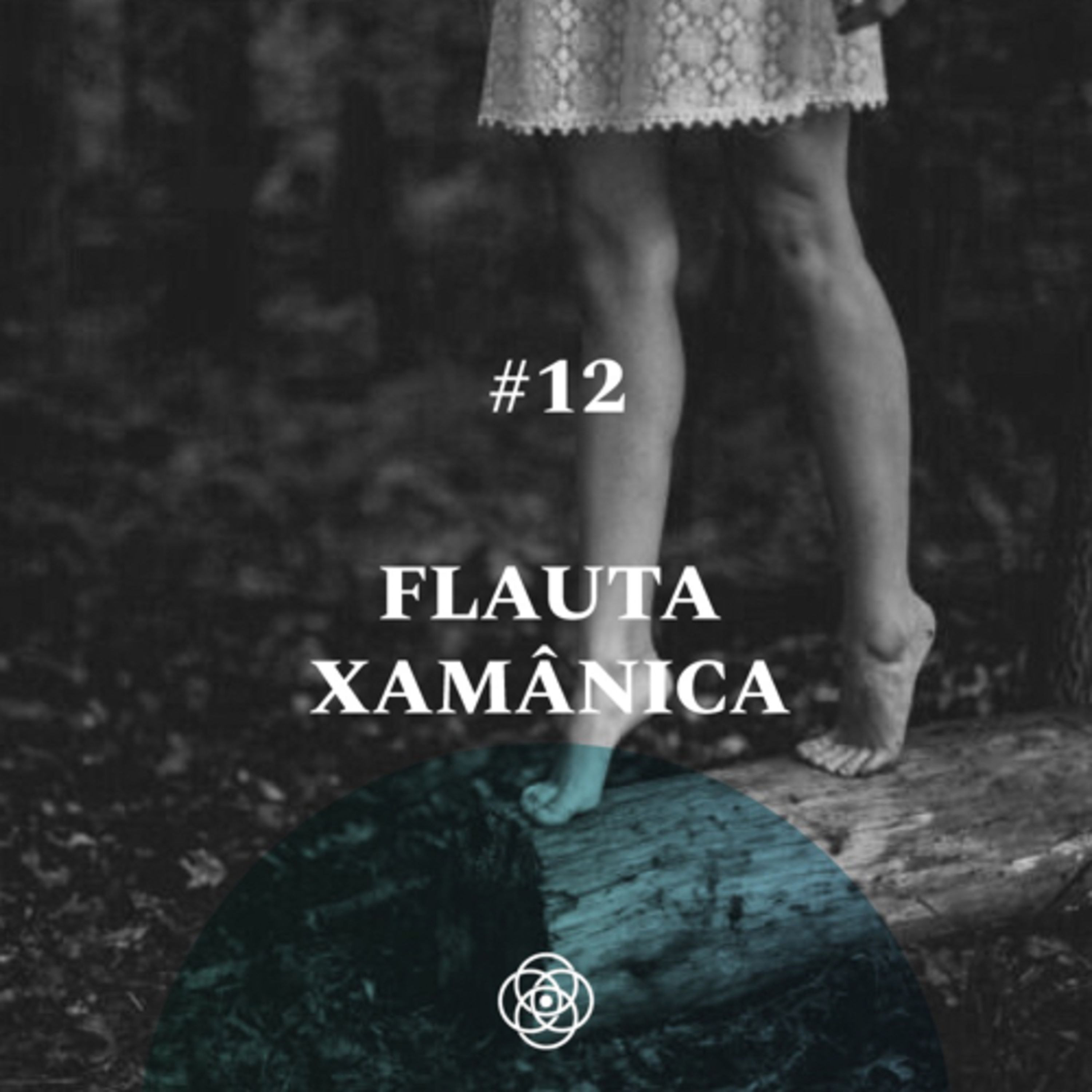 Meditação guiada #12 • Flauta Xamânica  episode artwork