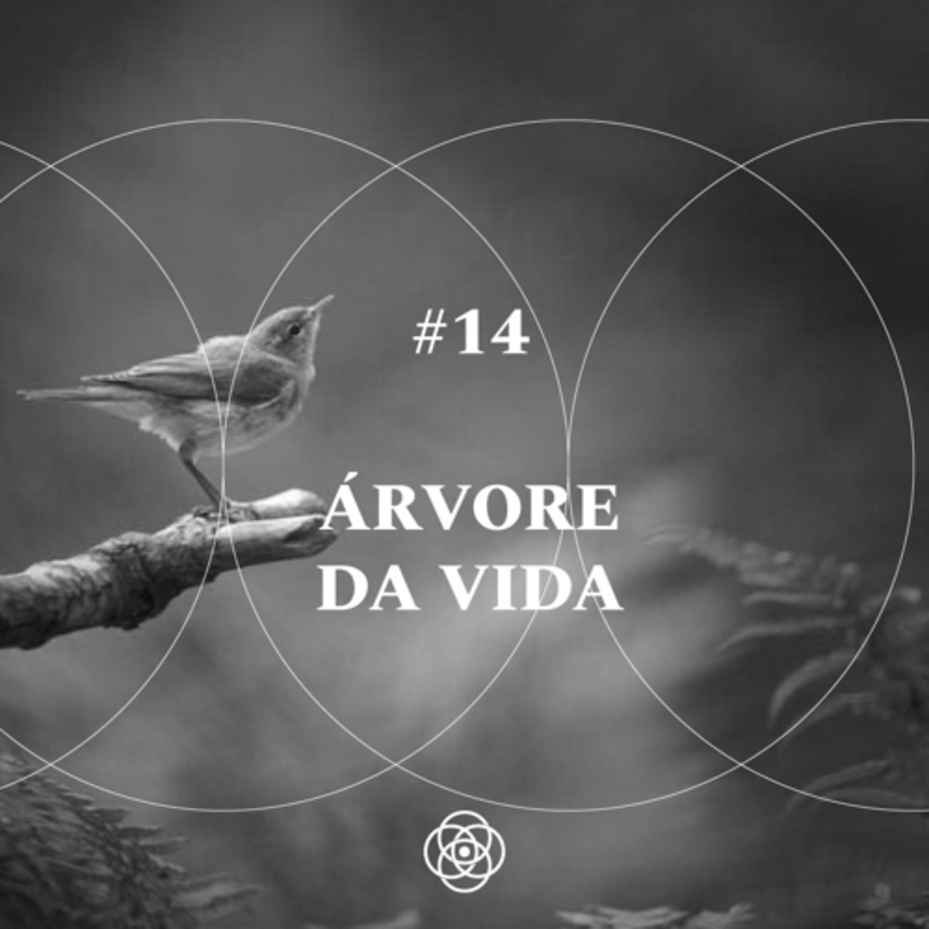 Meditação guiada #14 • Árvore da vida episode artwork