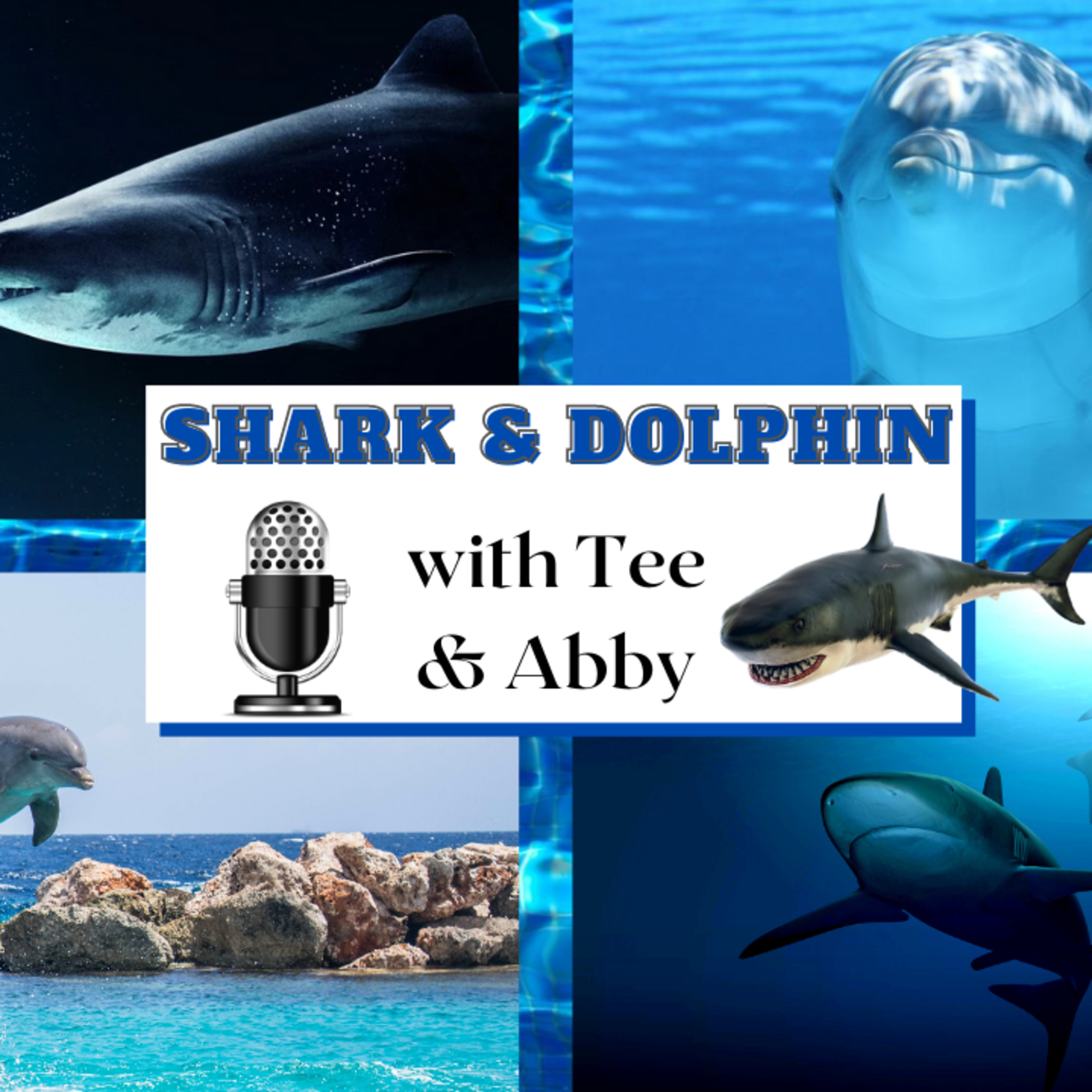 Monthly Animal Totems | Shark & Dolphin with Tee and Abby episode artwork