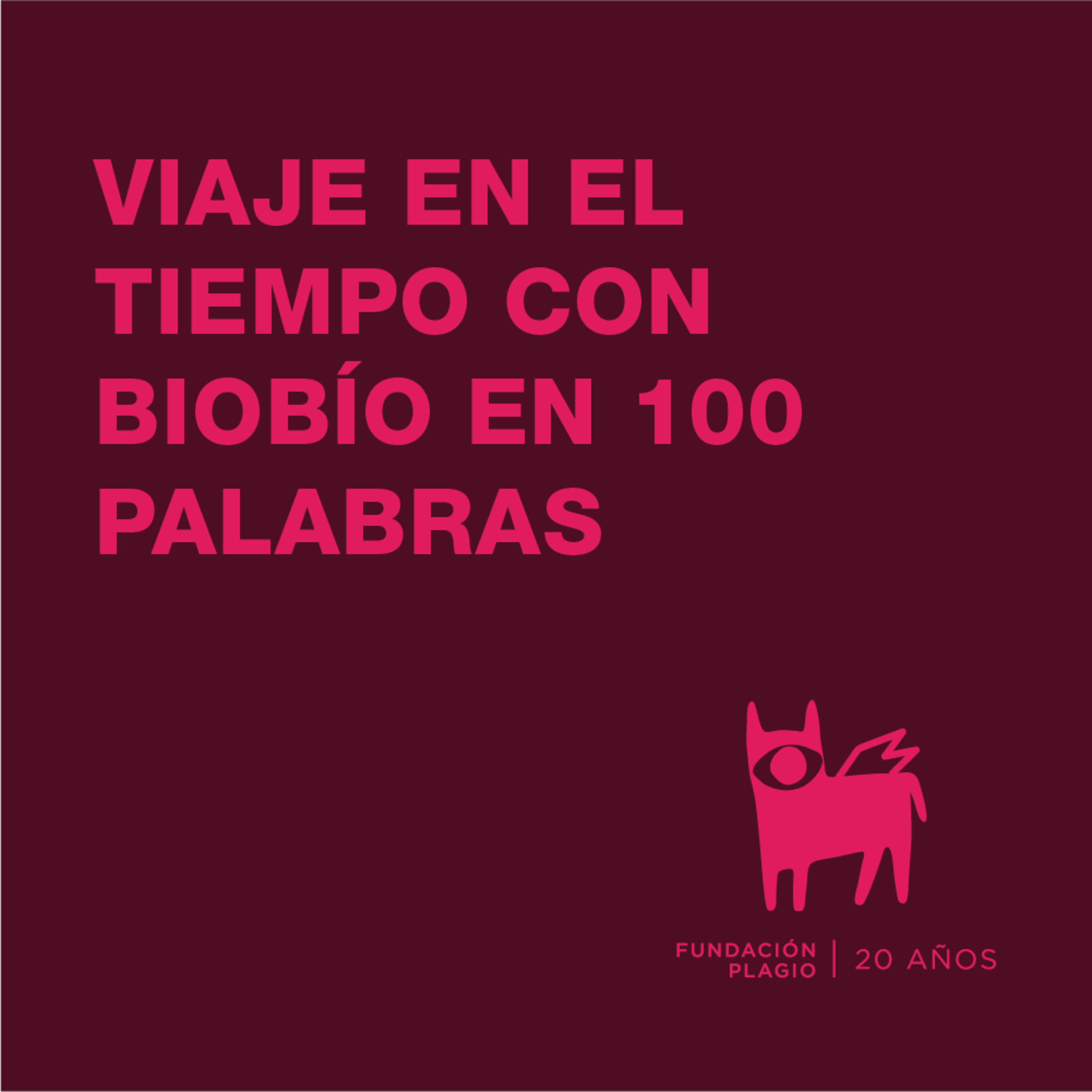 En 100 Palabras