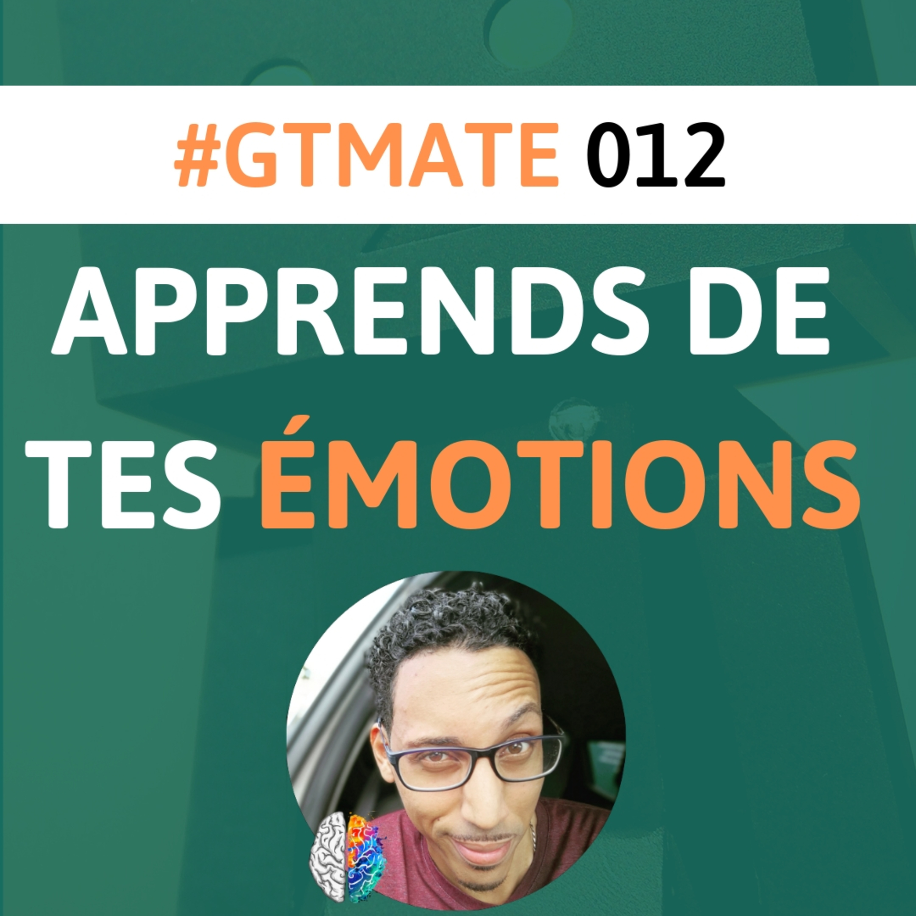 GTMate