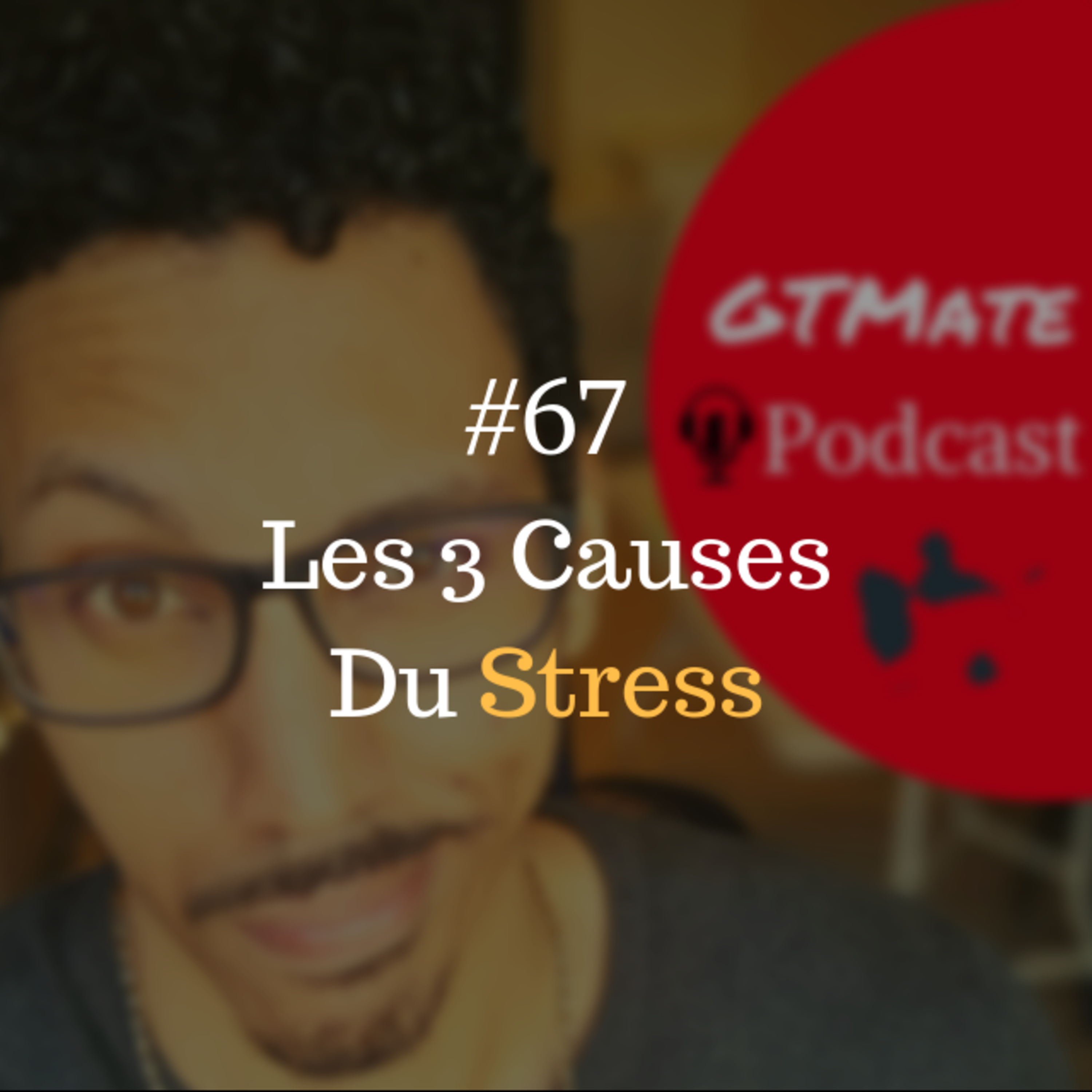 Les 3 Causes Du Stress | #GTMate 067 episode artwork