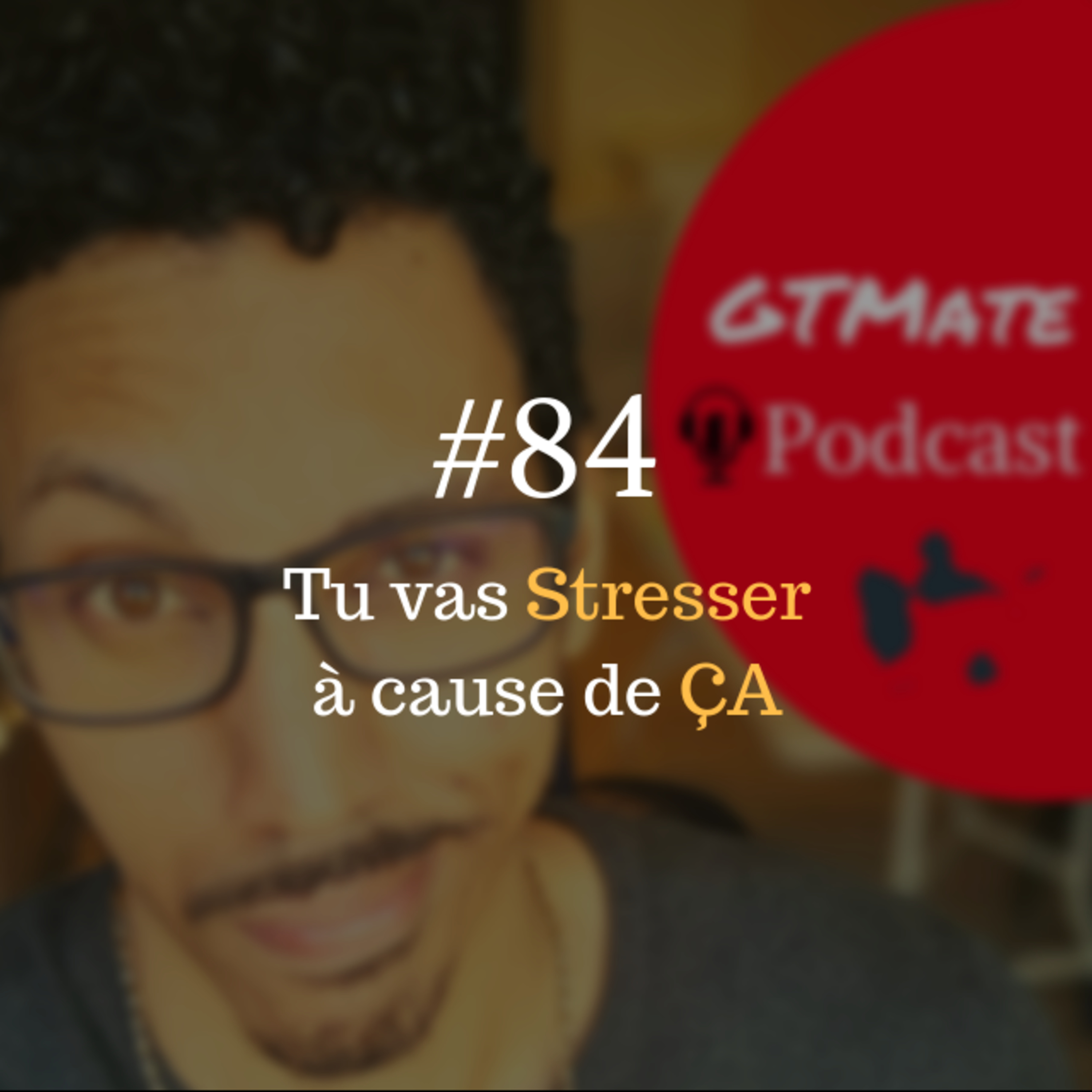Deux paramètres des situations stressantes POUR TOI | #GTMate 084 episode artwork