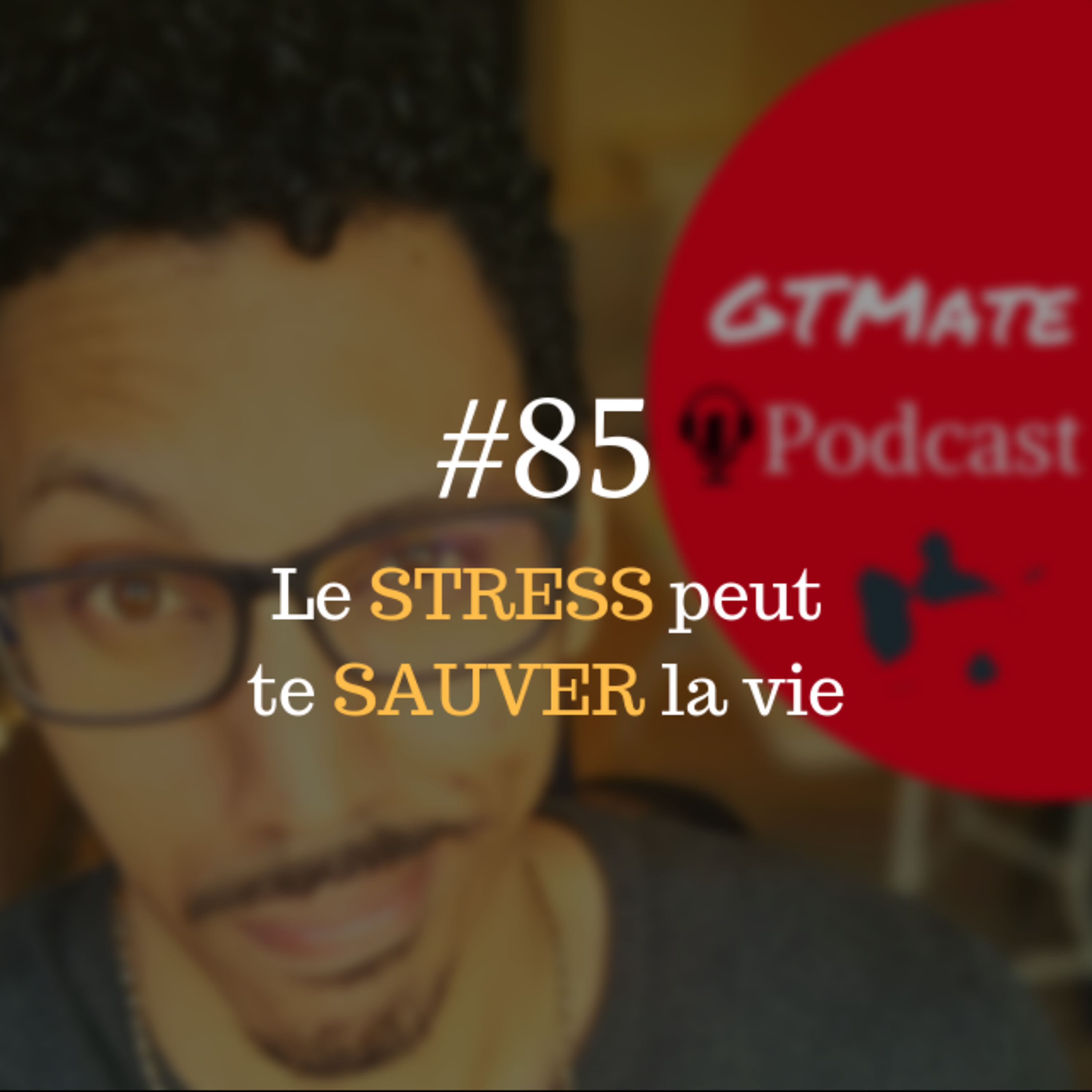 ARRÊTE de vouloir COMBATTRE le STRESS | #GTMate 085 episode artwork