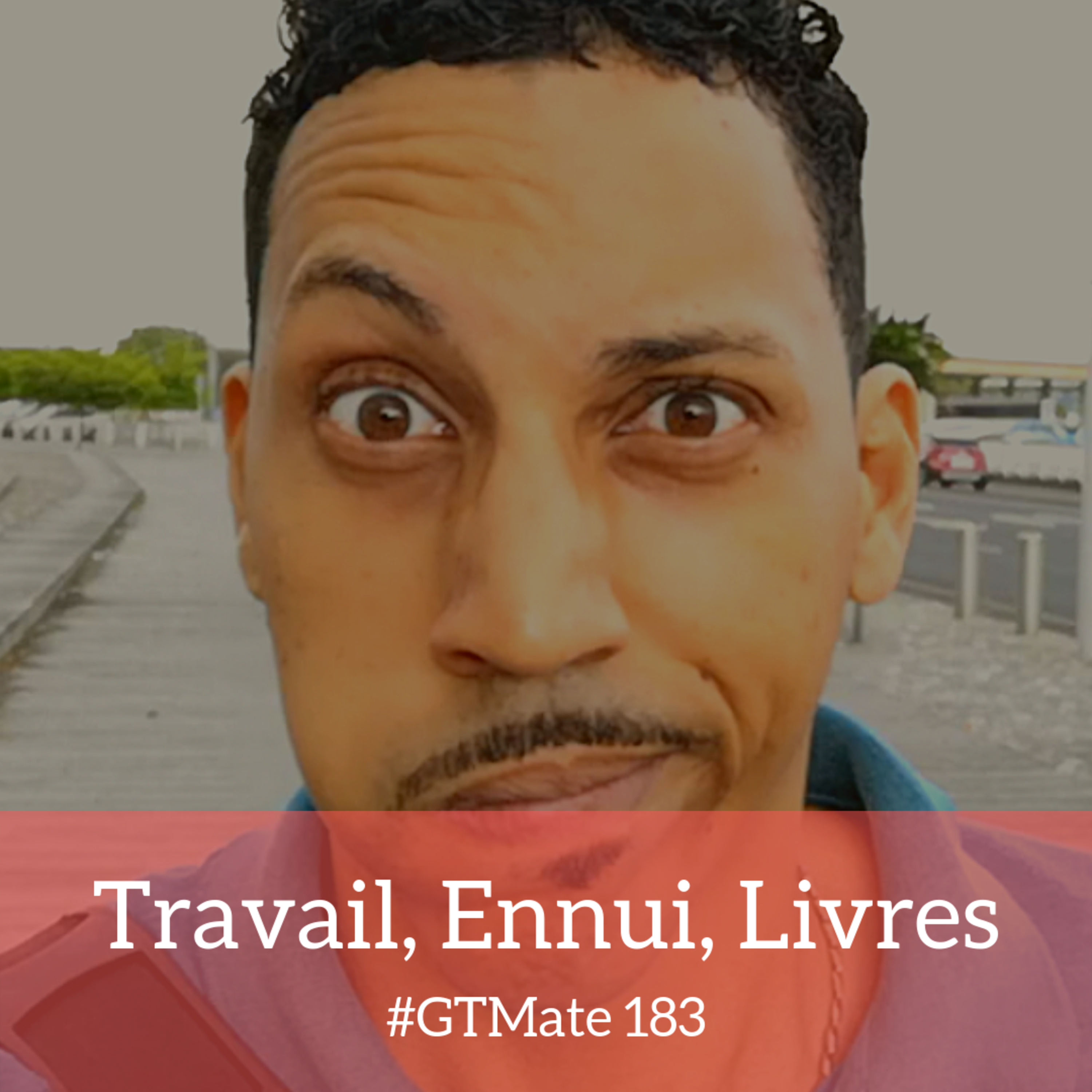 Travail, Ennui, Livres | #GTMate 183 episode artwork
