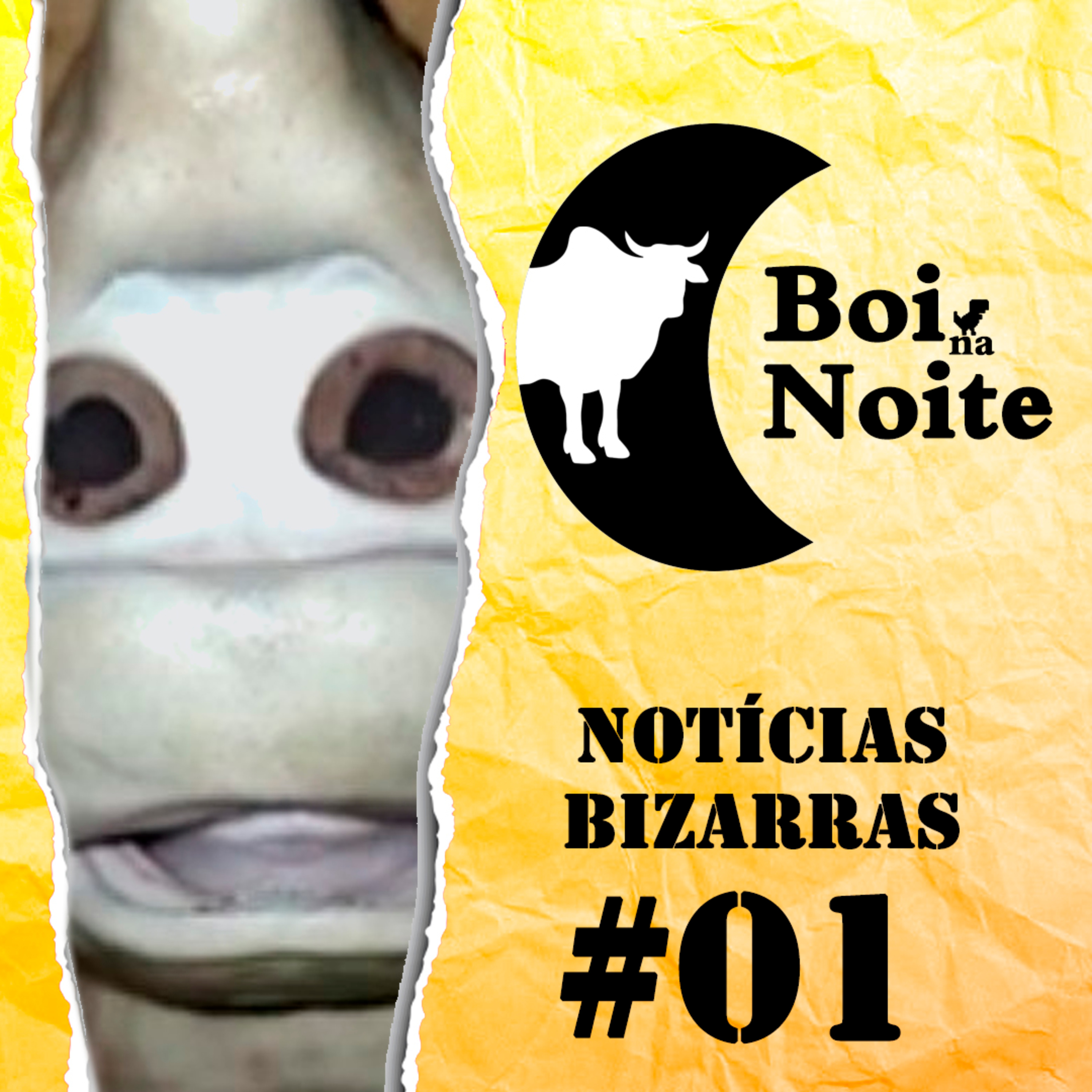 Cultura Limitada | Curiosidades, humor e diversão