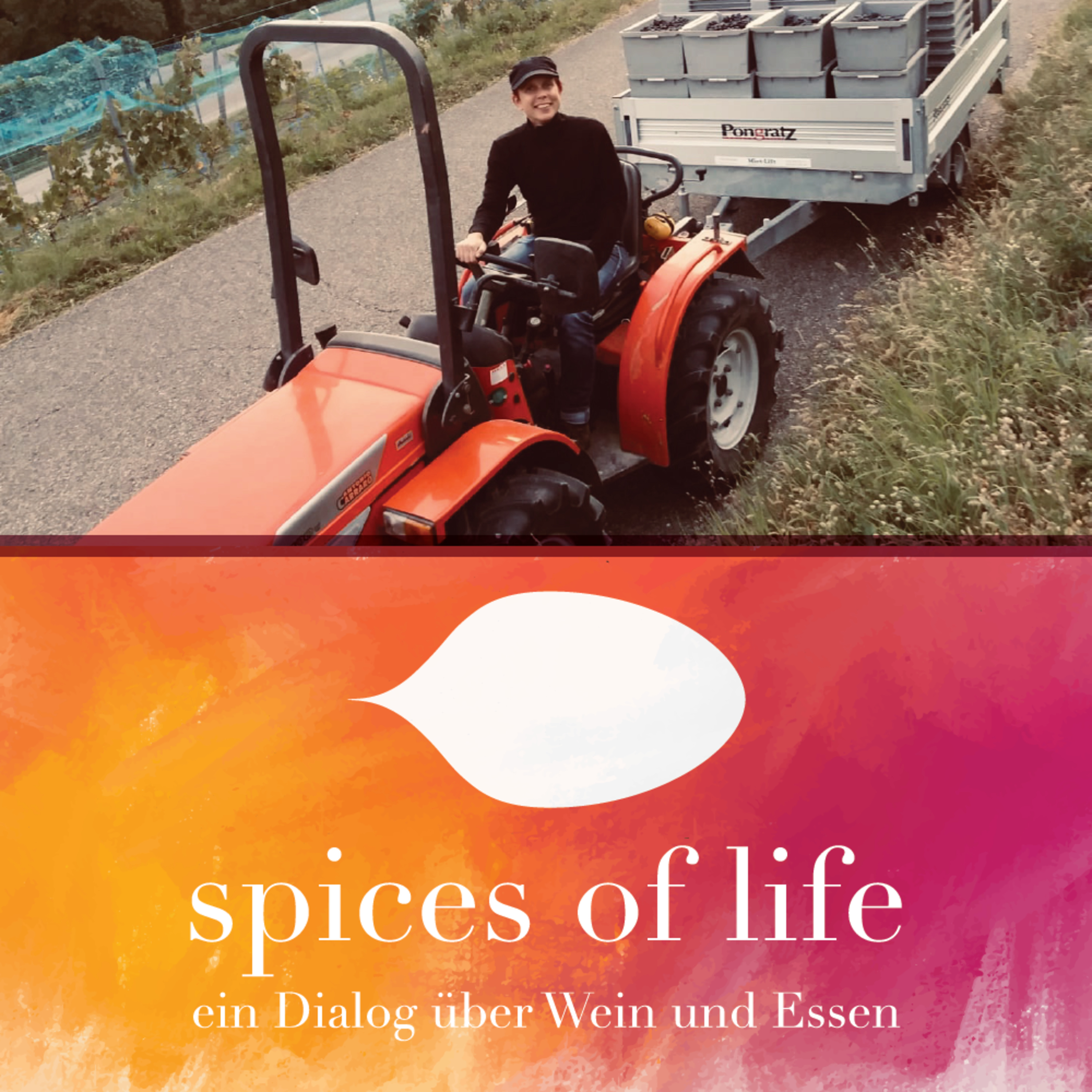 Spices of Life - Interview mit Simone Monstein von Weingut Hamacht episode artwork