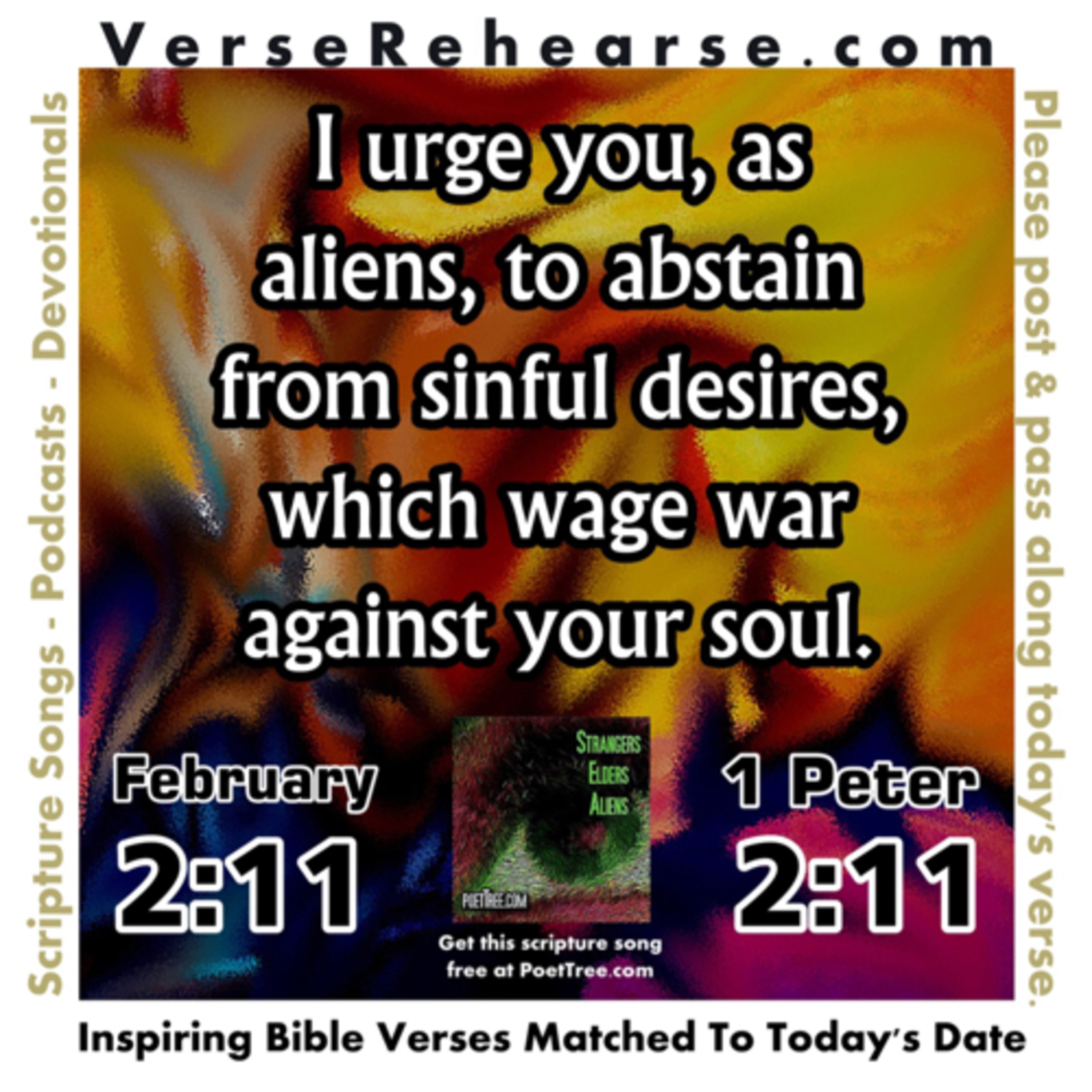 Surge Up with Dave Davidson