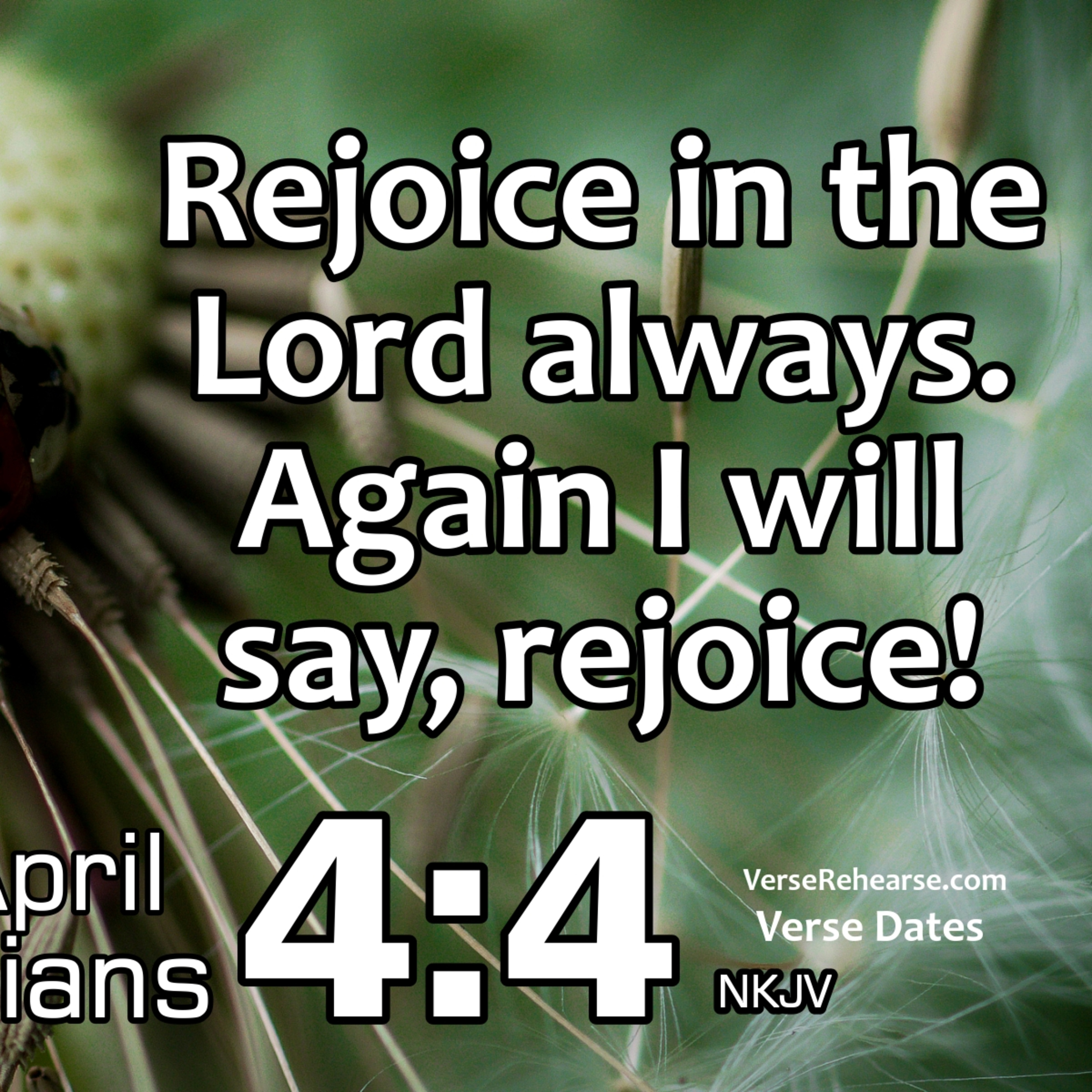 Surge Up with Dave Davidson