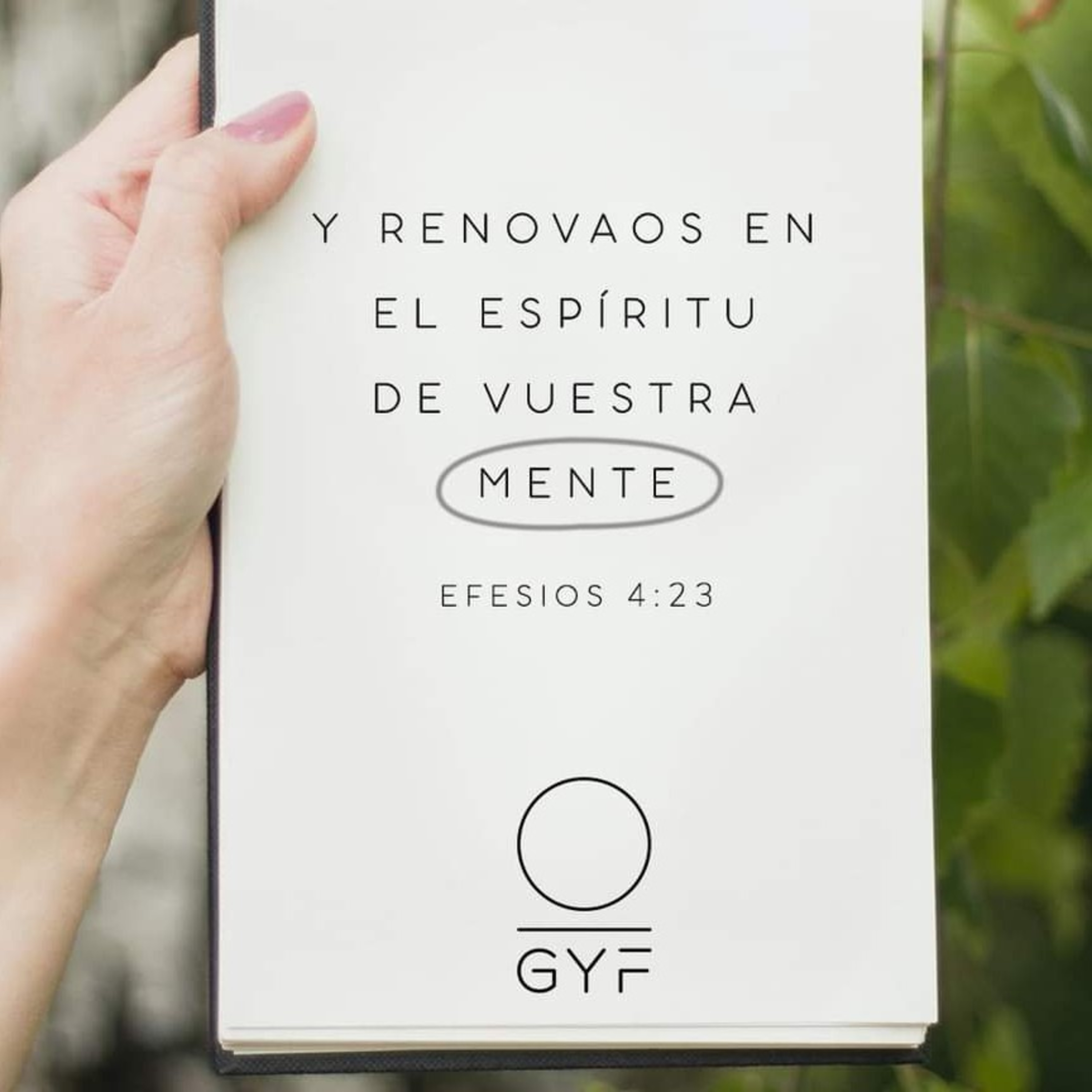 Portada de Gracia Y Fe Prédicas