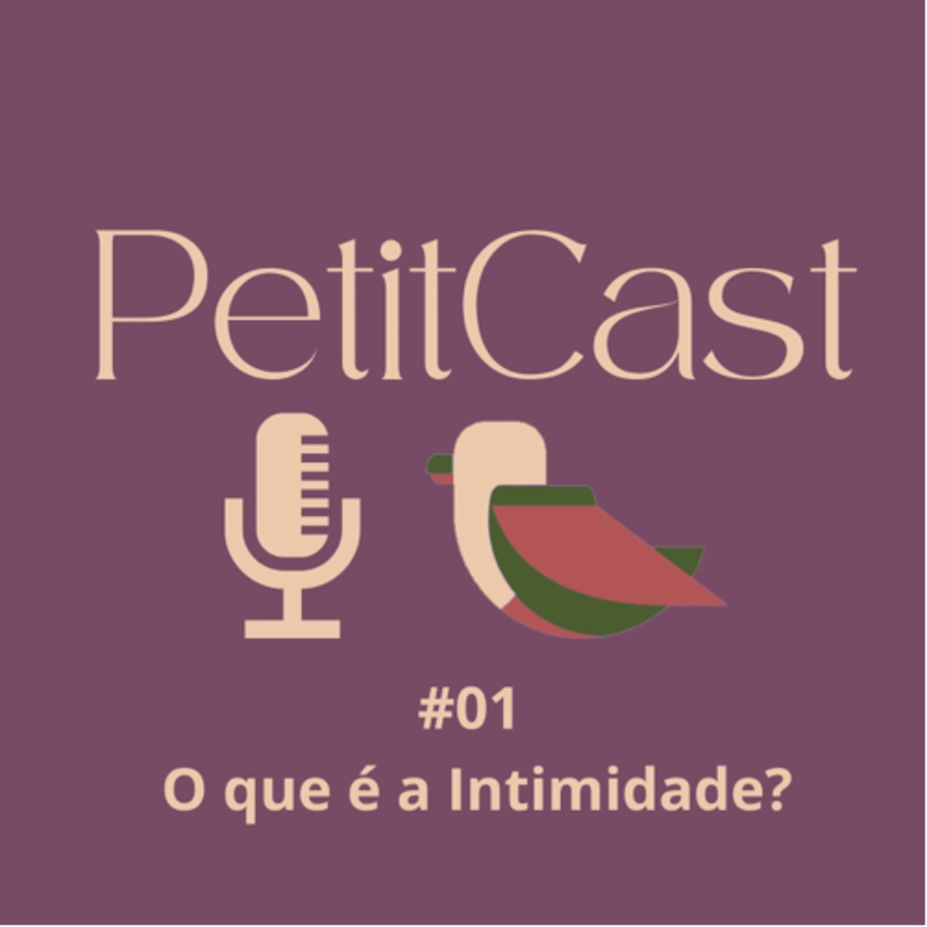 O que é a intimidade? episode artwork