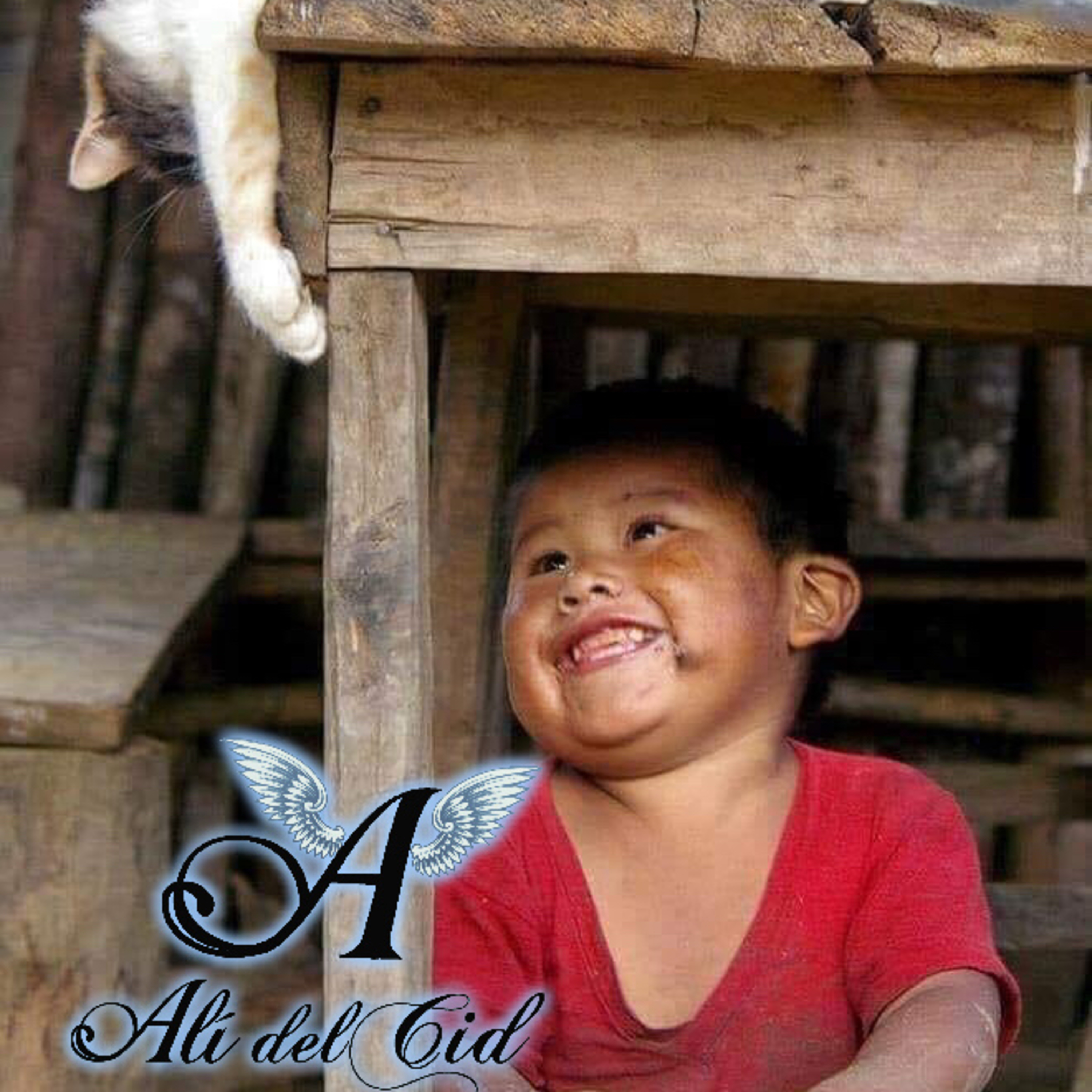 Portada de ALÍ DEL CID