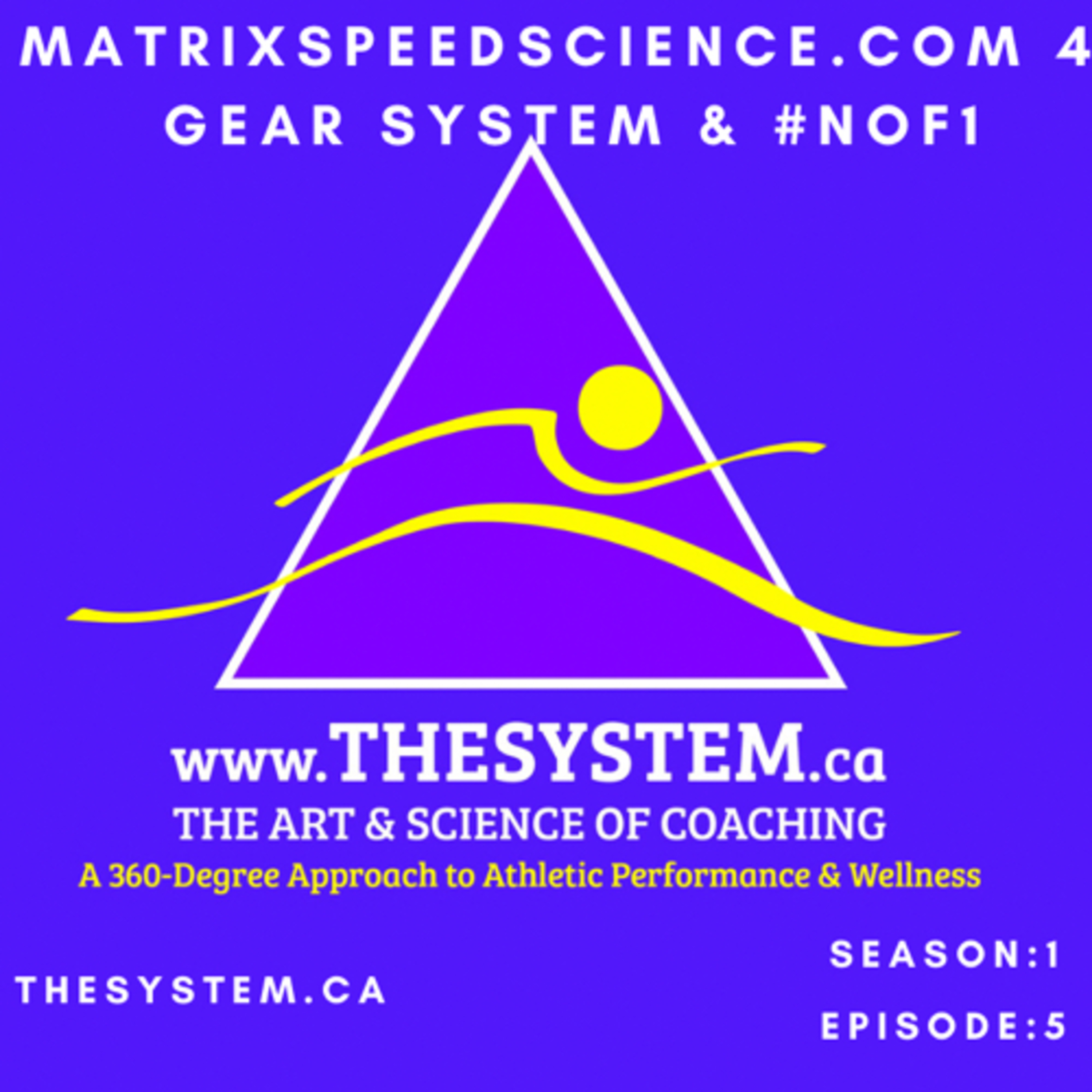 TheSystem.ca: 360° Speed & Recovery
