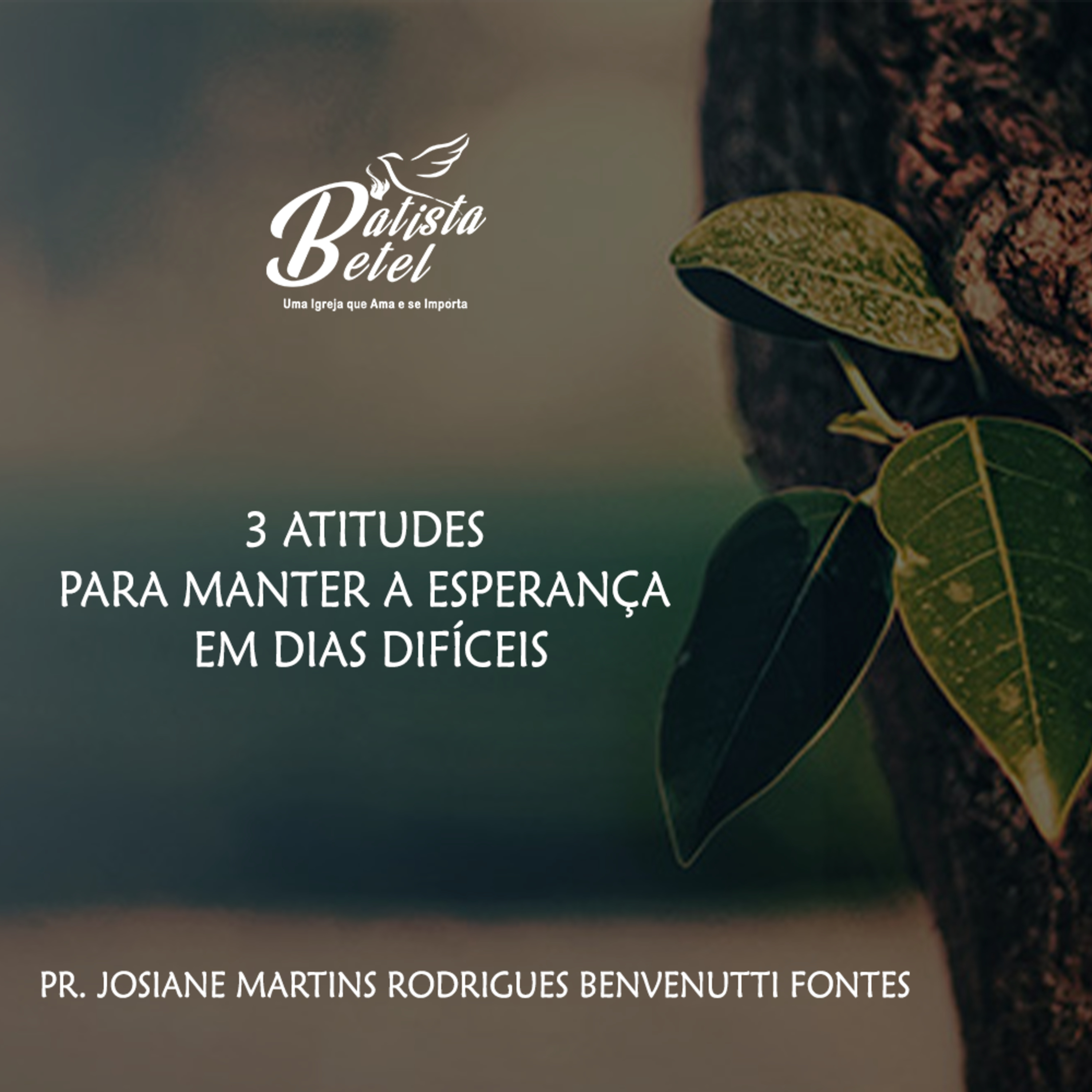 ibbtb_