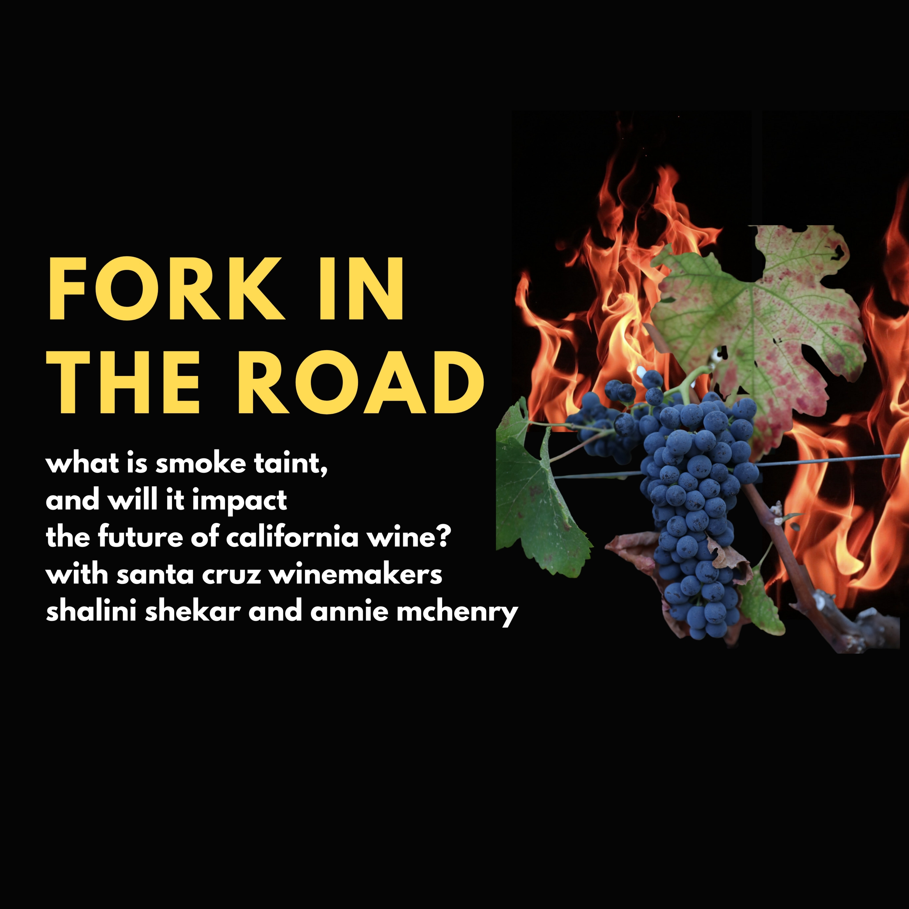 Fork in the Road