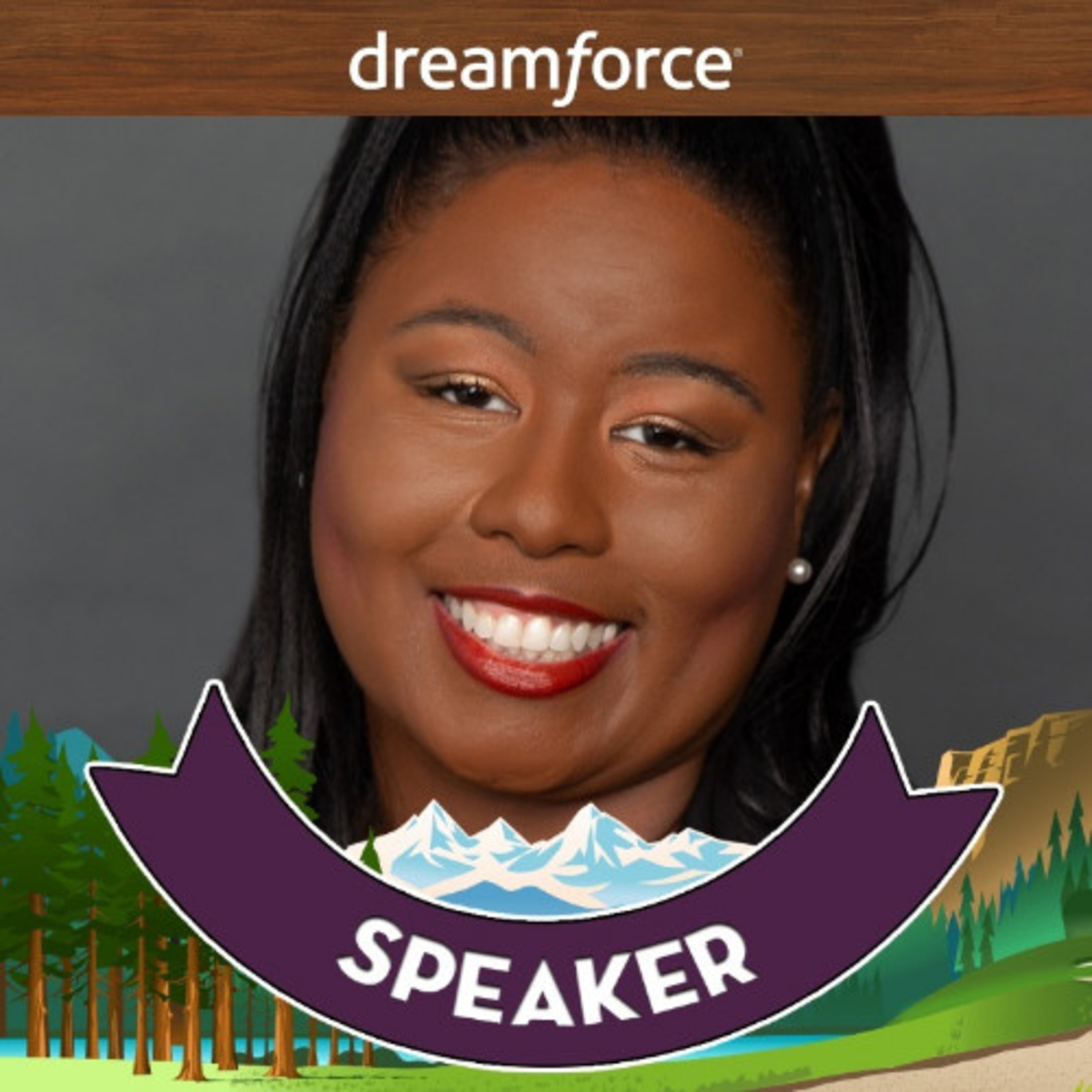 SFDC Consultant - Become a better Salesforce Consultant