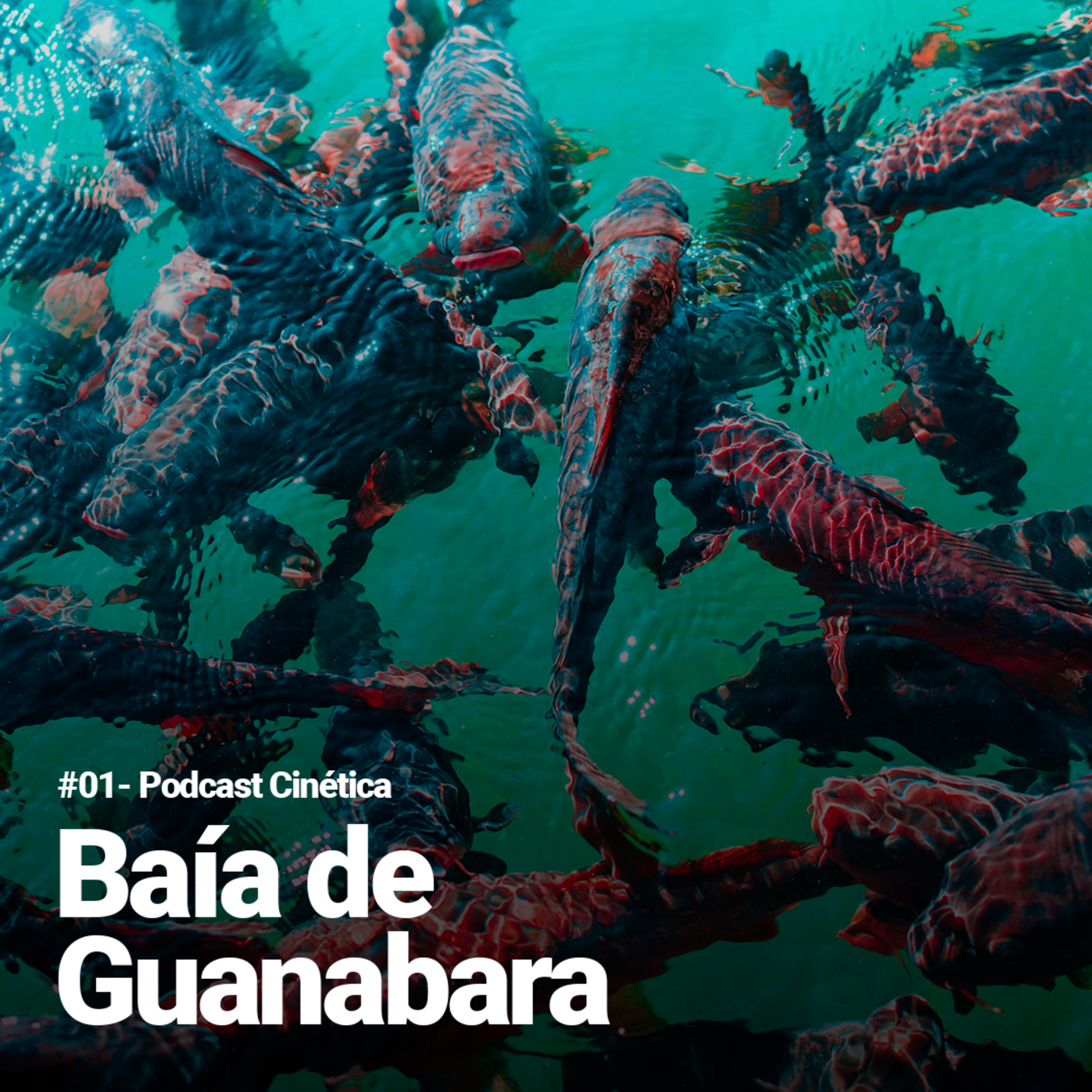 #001 - Baía de Guanabara