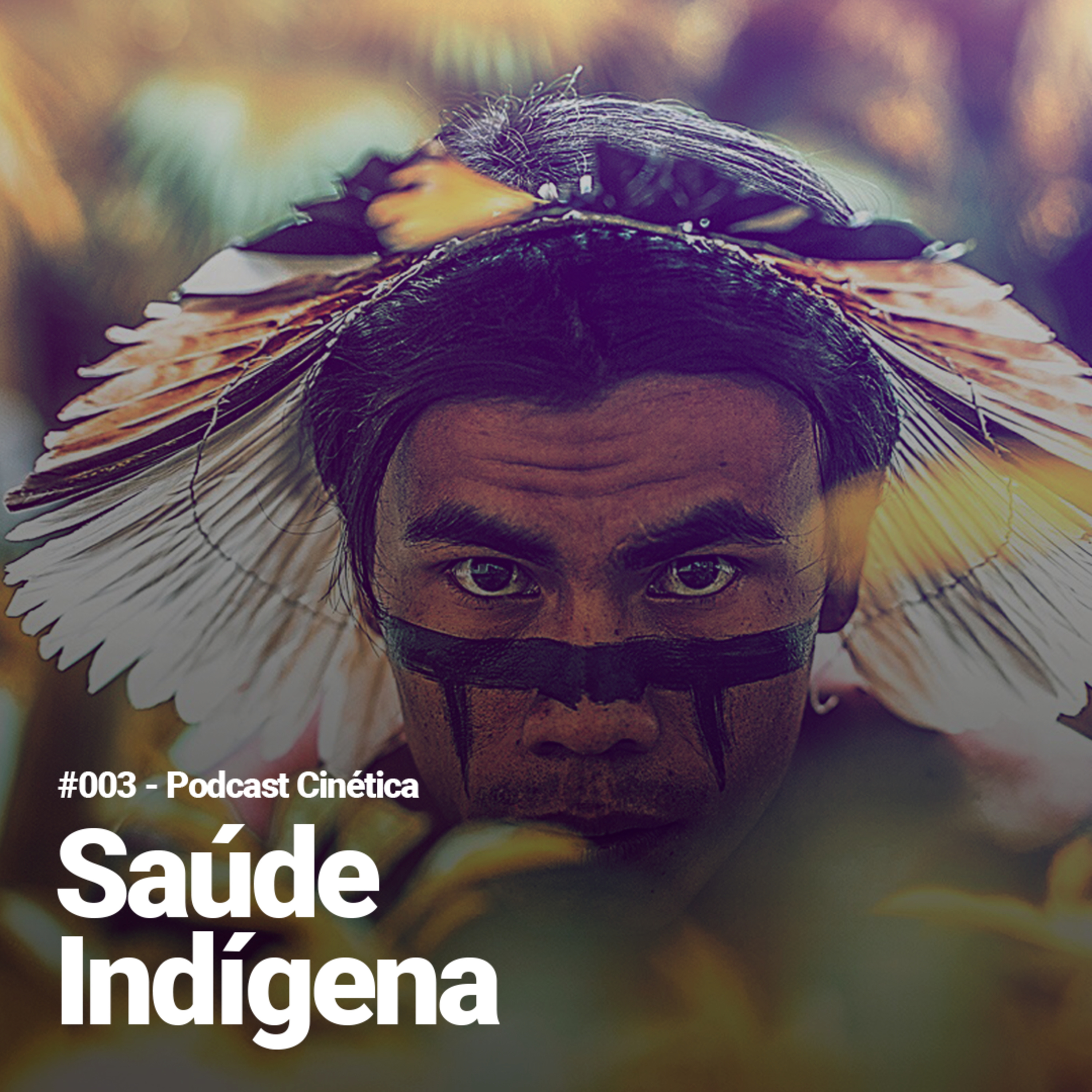 #003 - Saúde Indígena