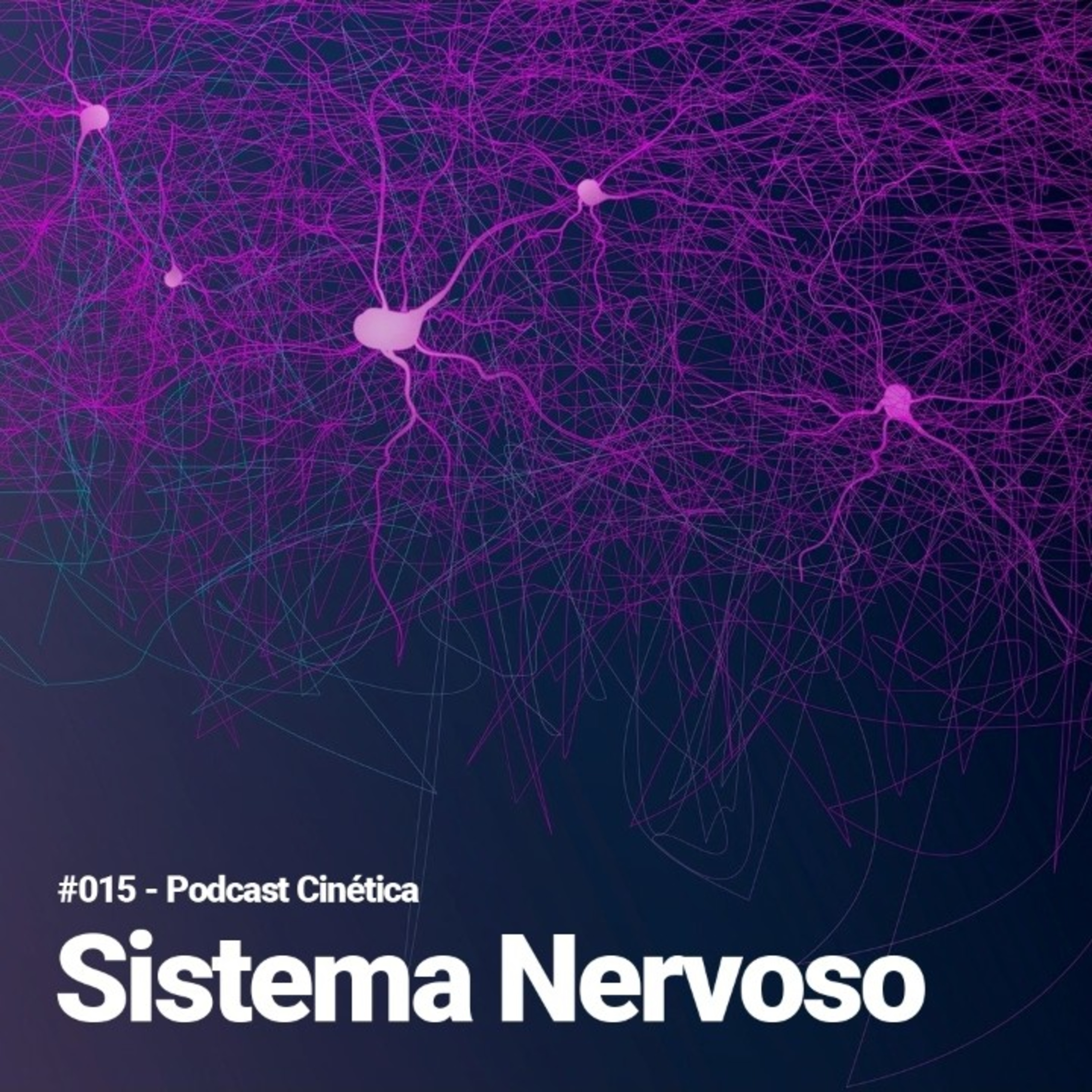 #015 Sistema Nervoso