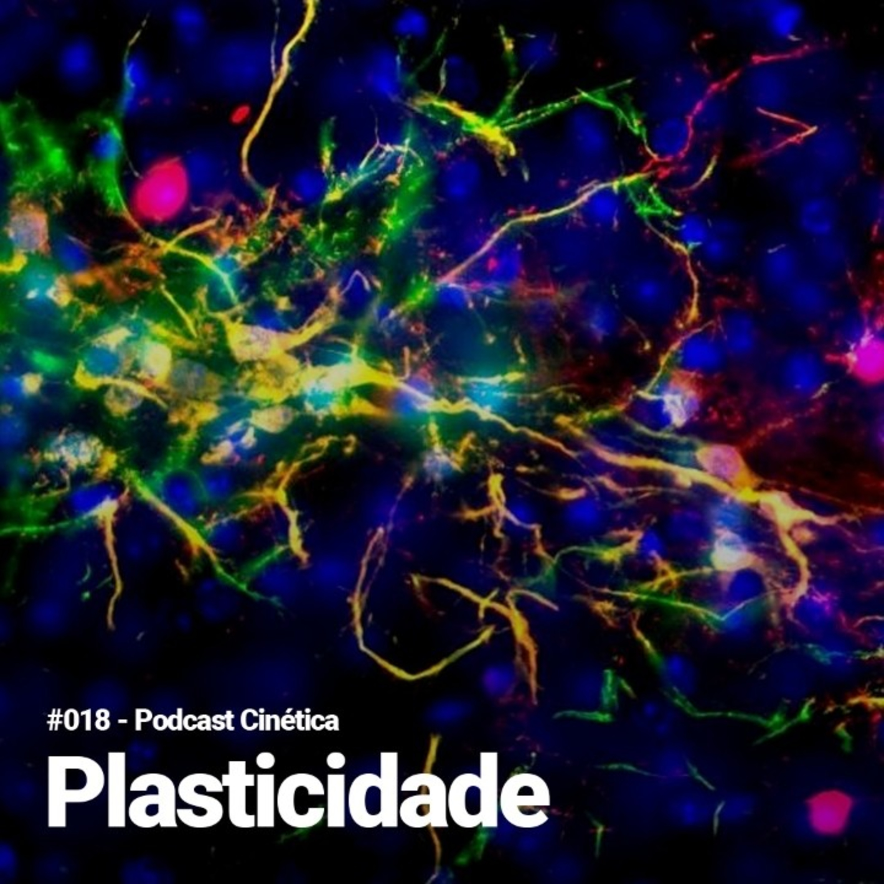 #018 Plasticidade