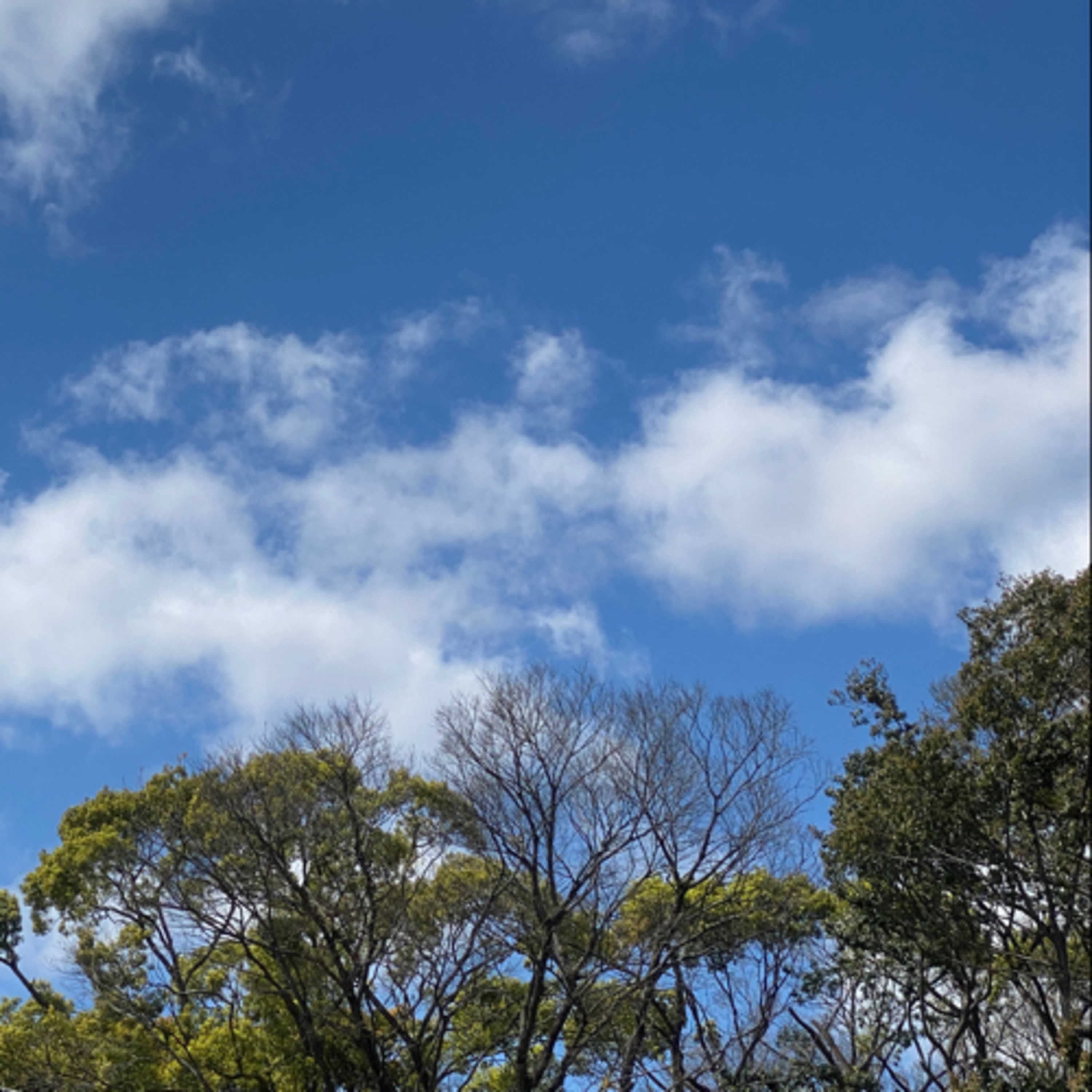 Trailer #1 - Ada apa di tanggal 22?