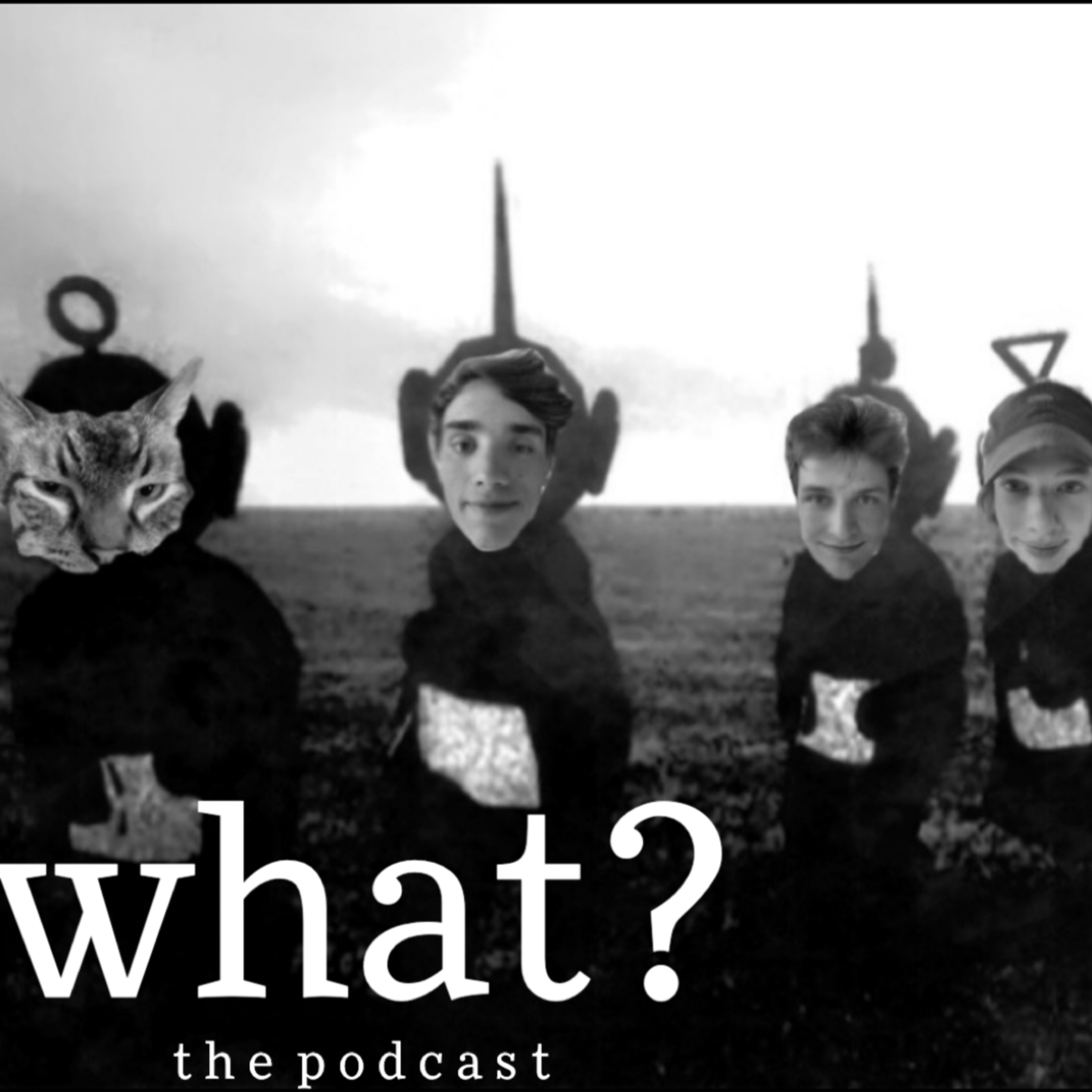what? the podcast