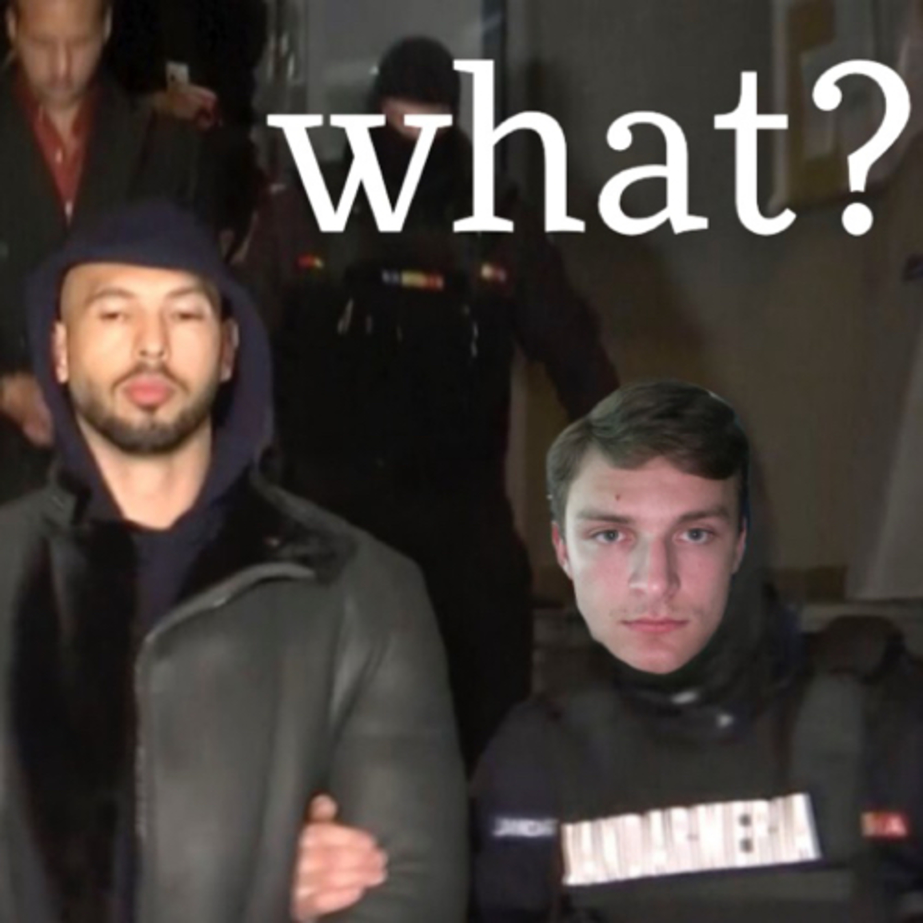 what? the podcast
