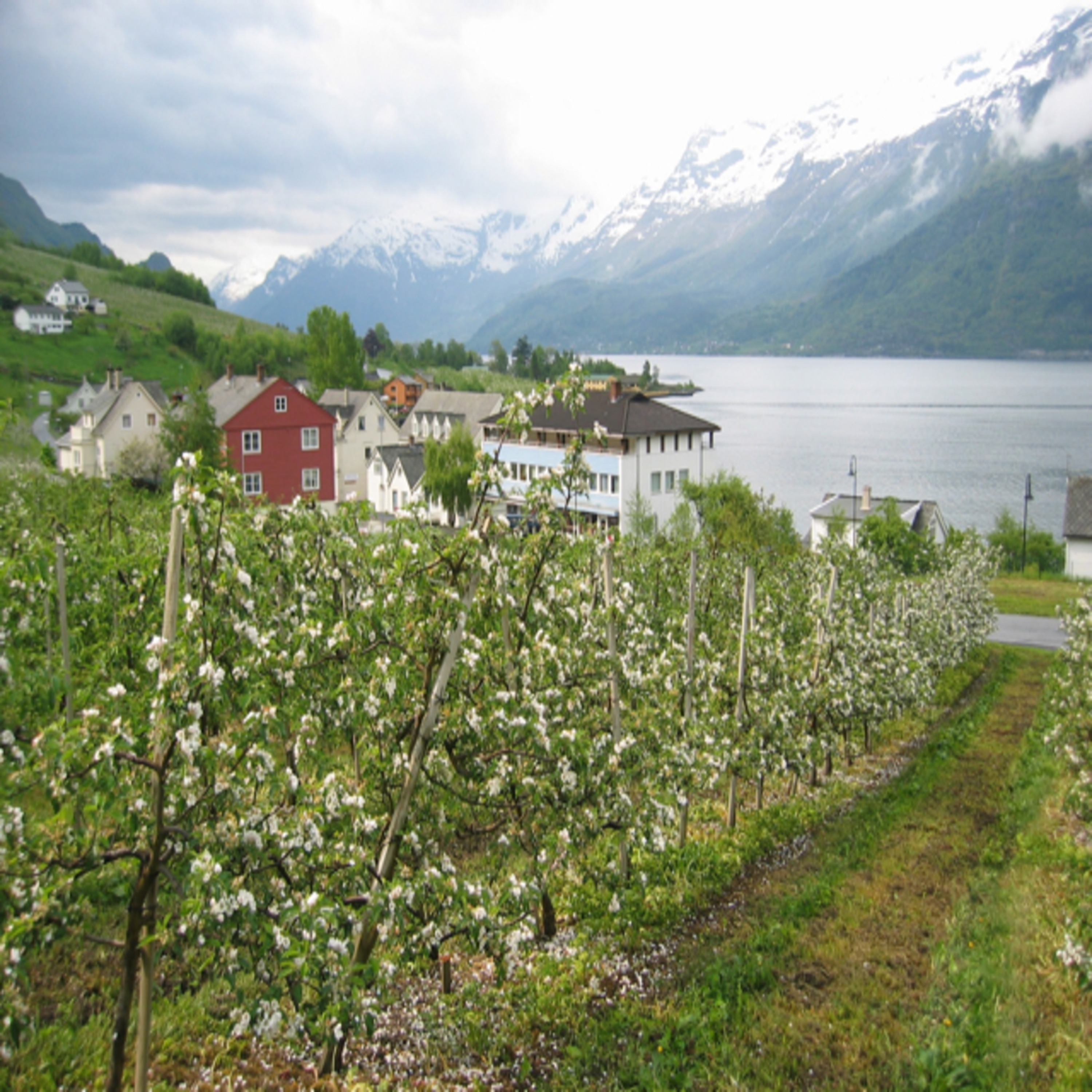 Craig’s World Trip, 2003-2004