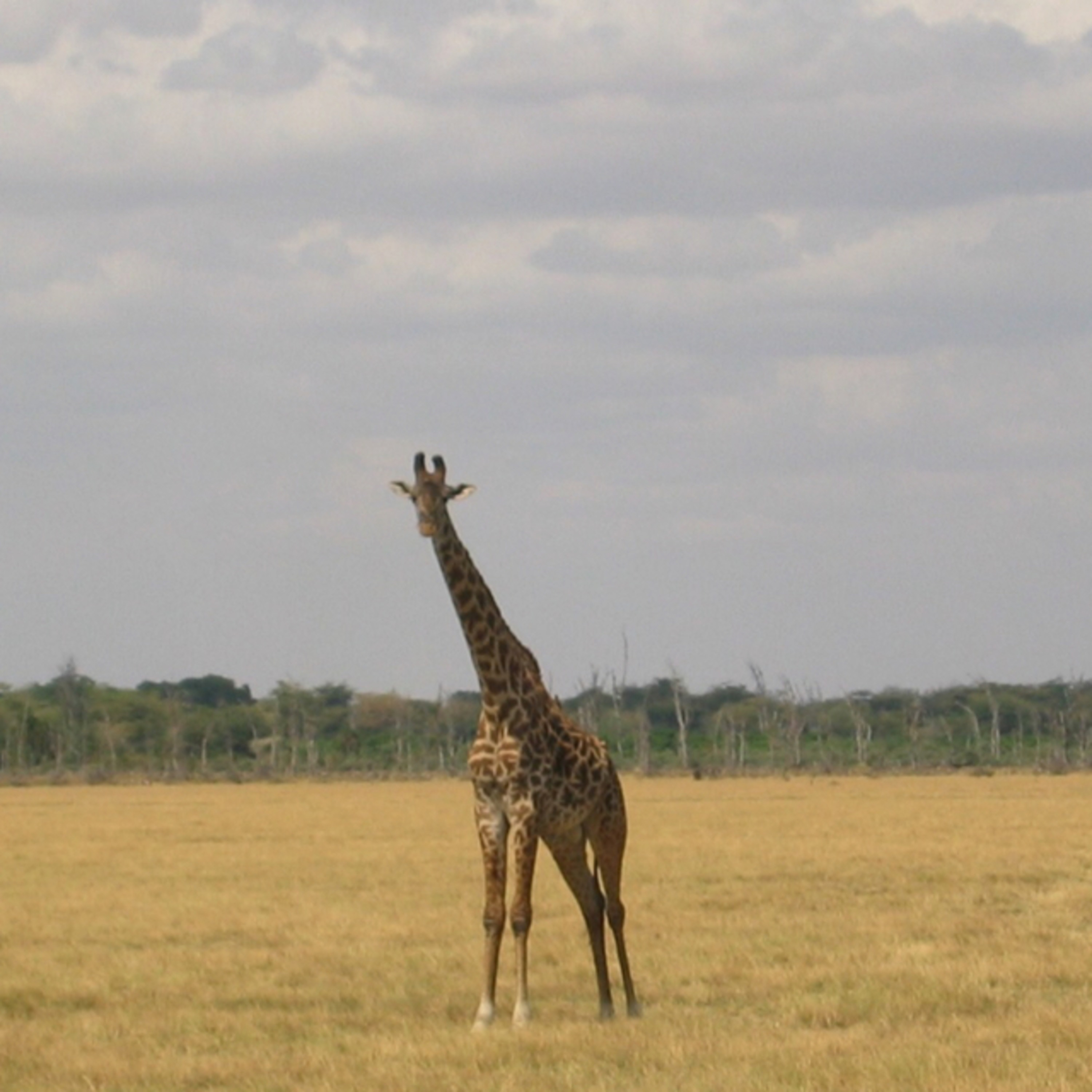 Craig’s World Trip, 2003-2004