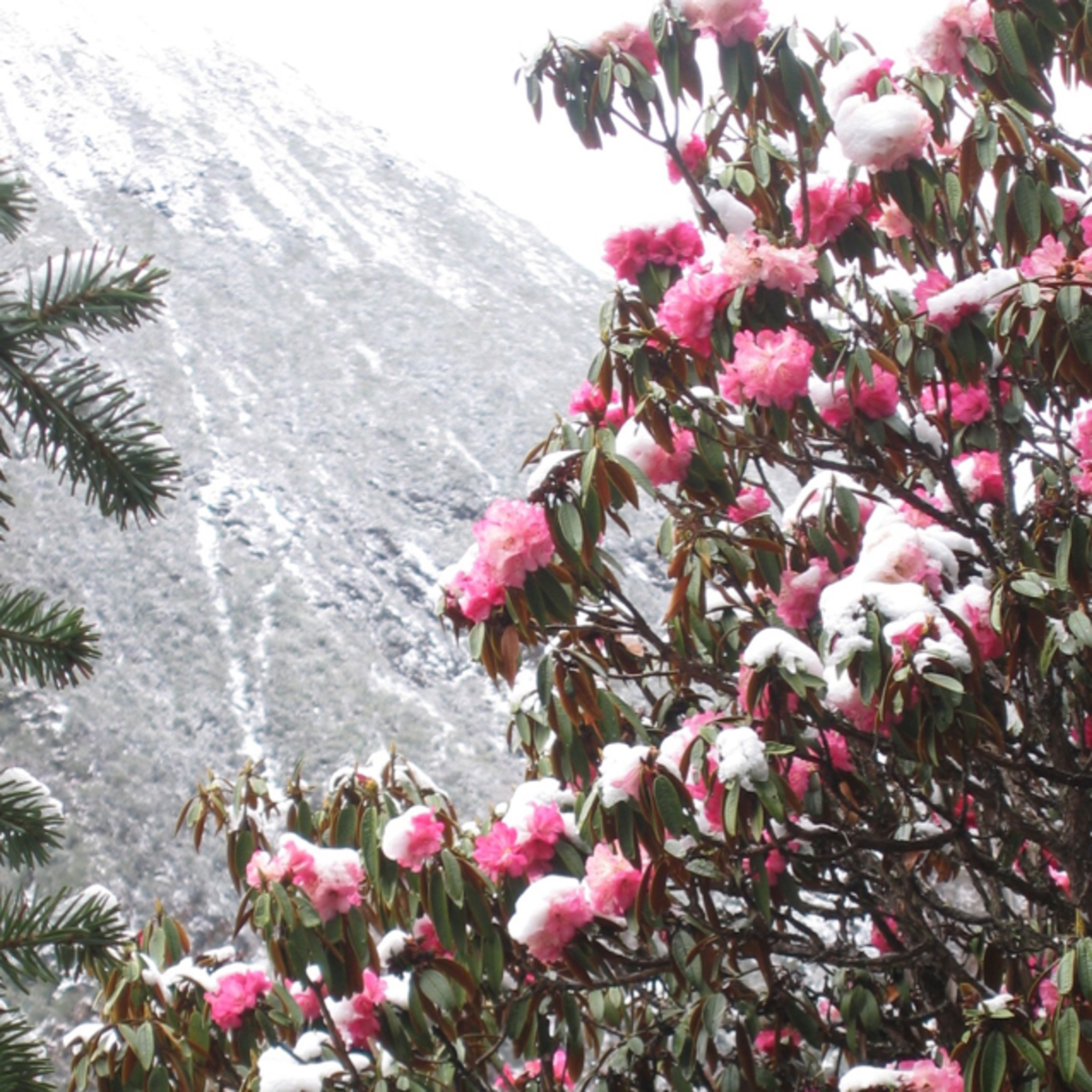 Craig’s World Trip, 2003-2004