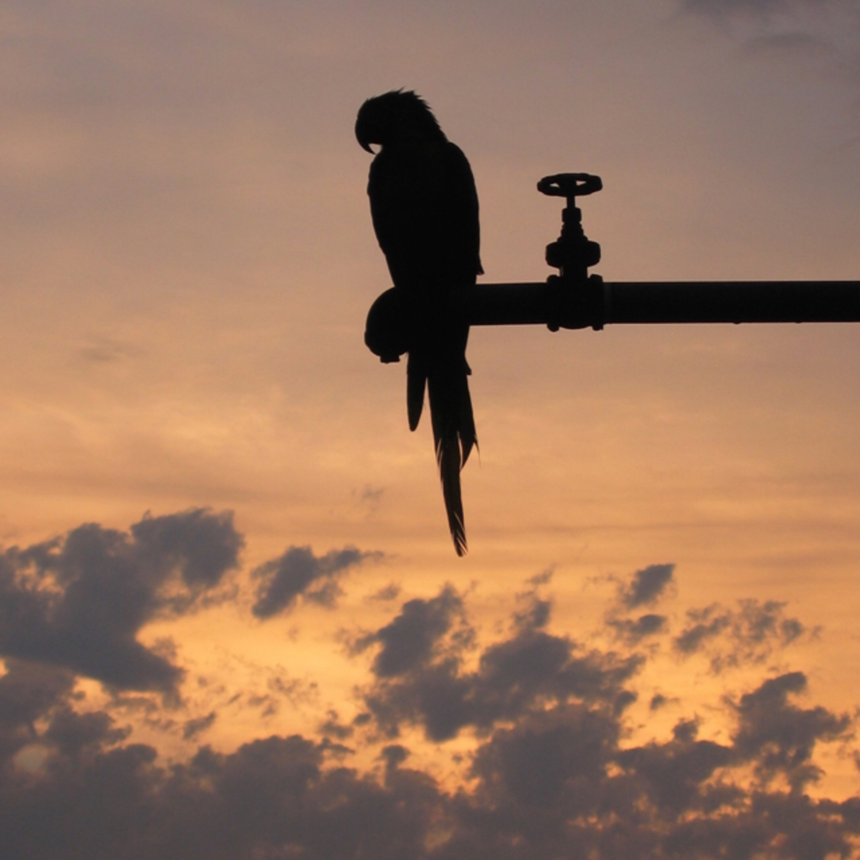 Craig’s World Trip, 2003-2004