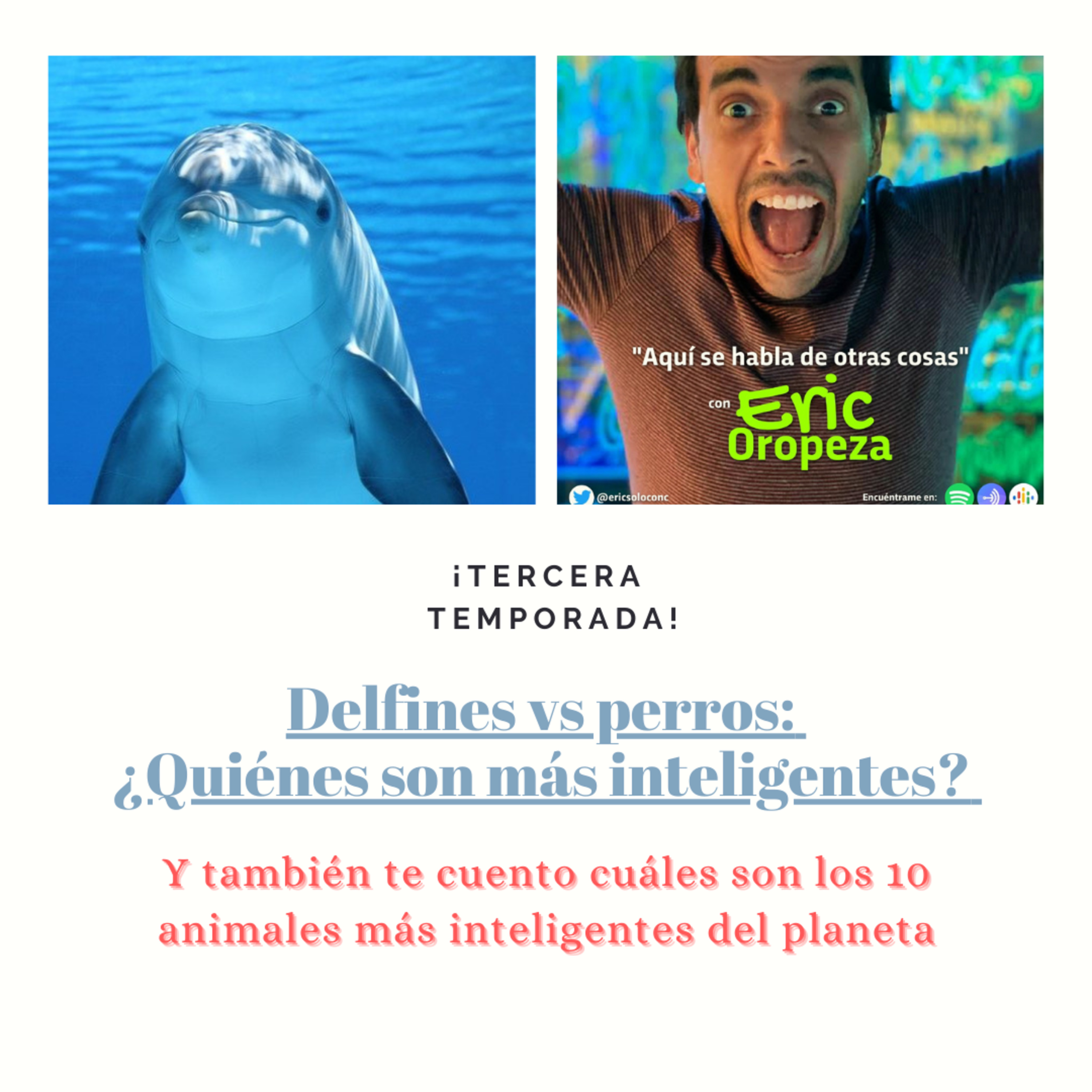 Aquí Se Habla De Otras Cosas - Un Espacio Libre De Covid-19