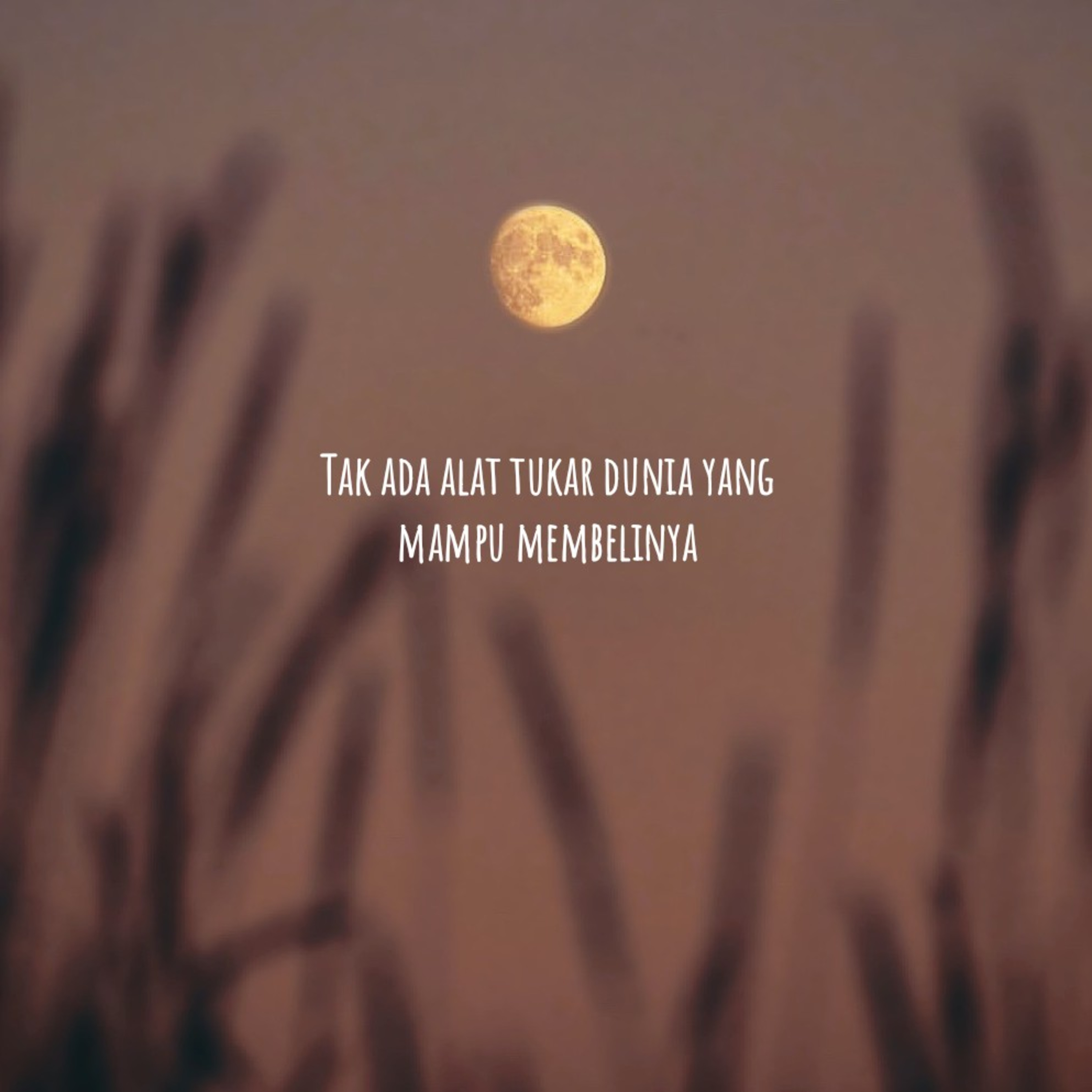 Bulan dan Kopi