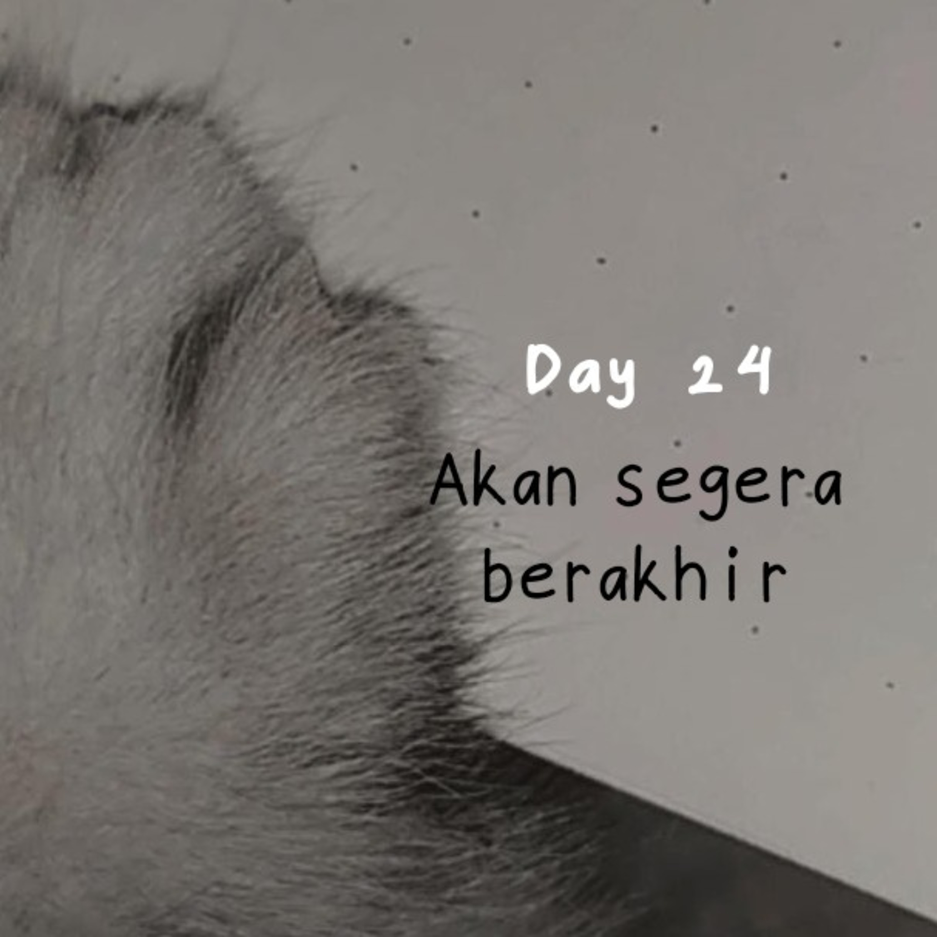 Bulan dan Kopi