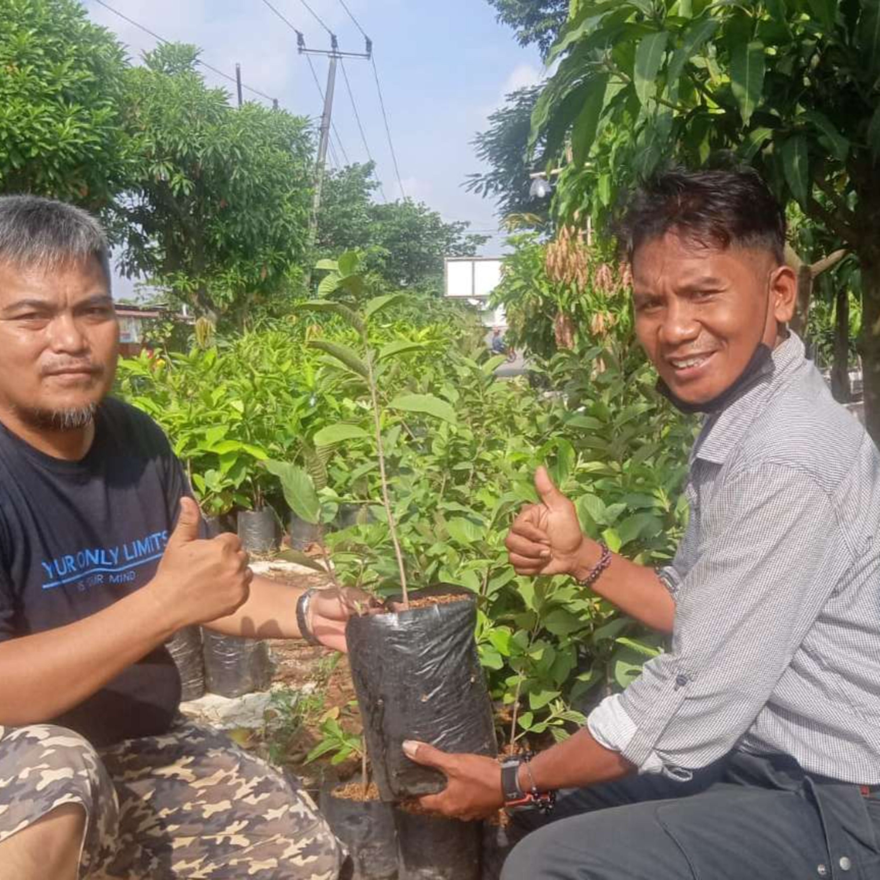 Radio Wibawamukti